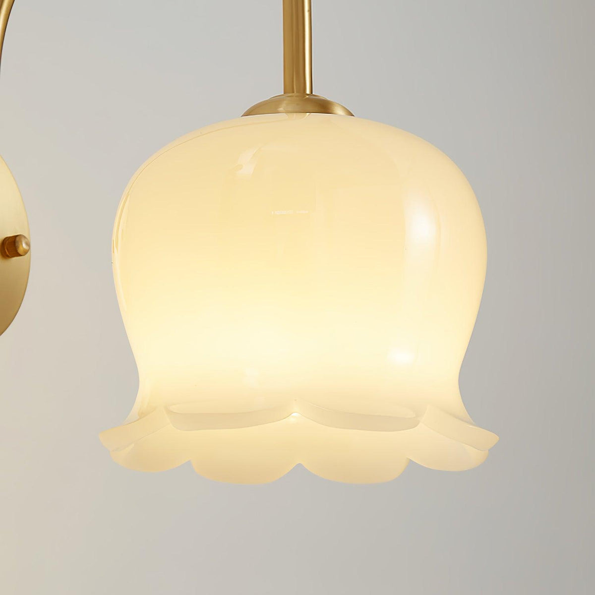 Avcarora Premium Nordic Art Brass Glass Wall Lamp