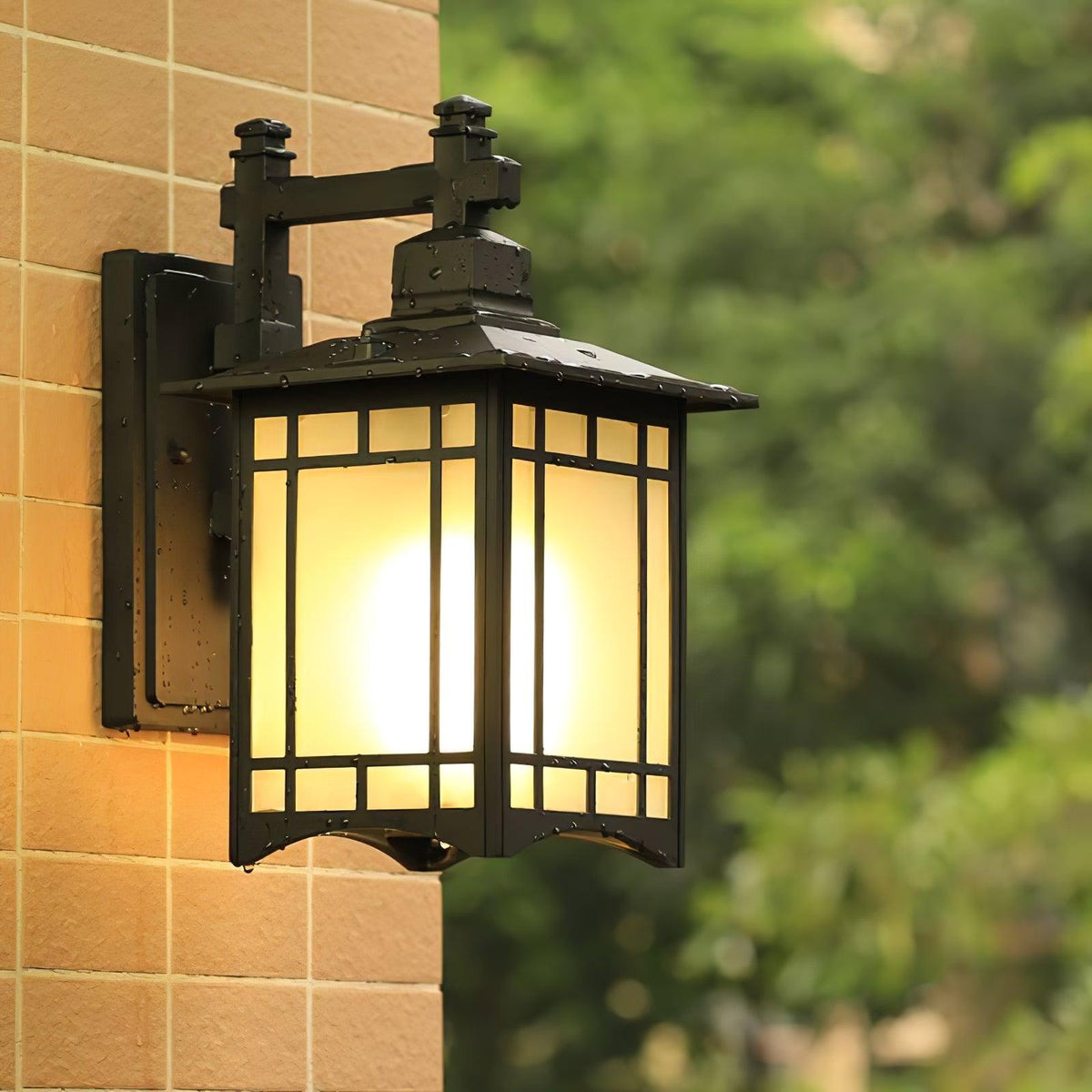 Lioruelle Elegance House Glass Outdoor Wall Light