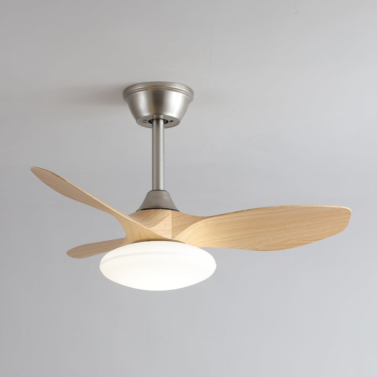 Sylvara Ceiling Fan Light