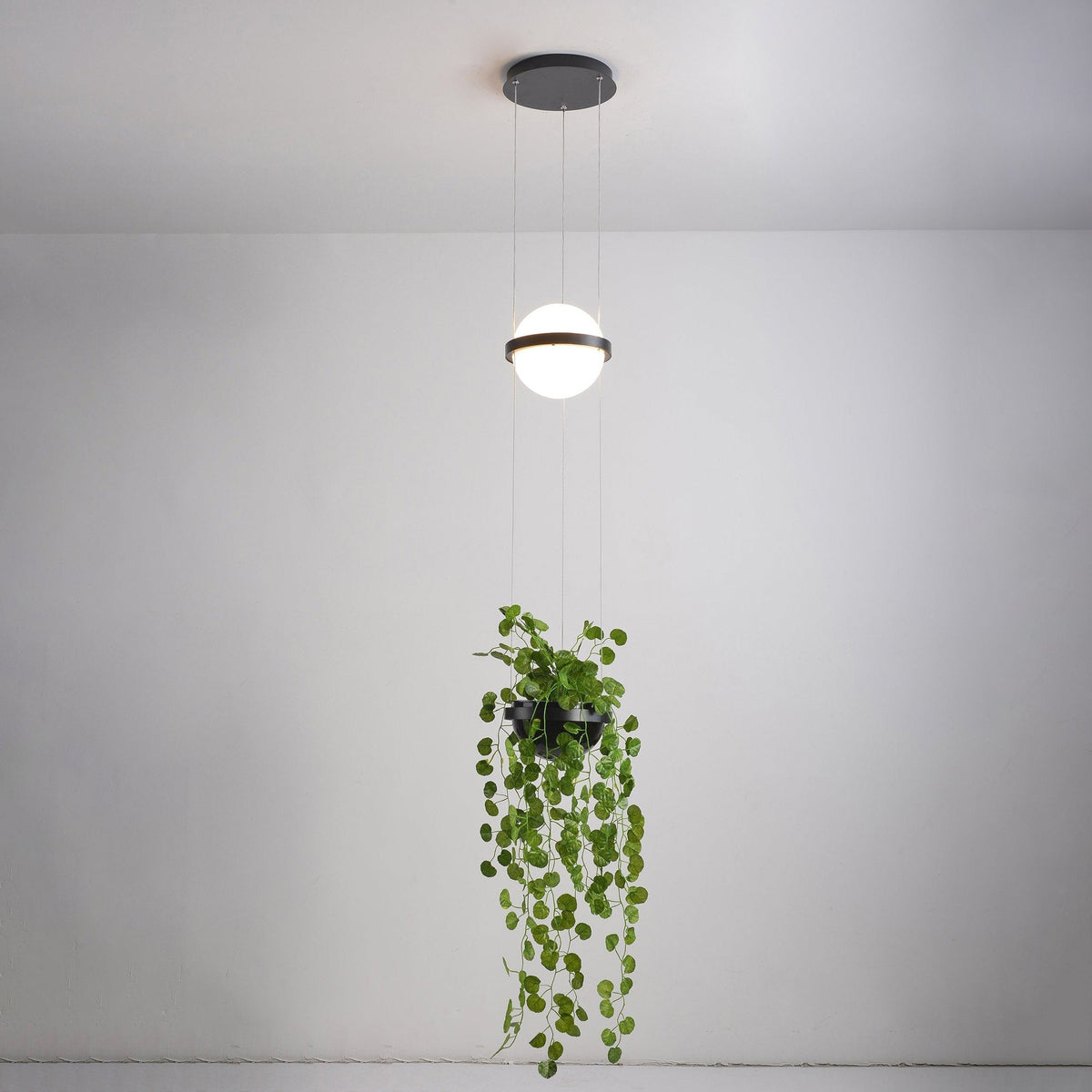 Niroise Acrylic Contemporary Pendant Lamp