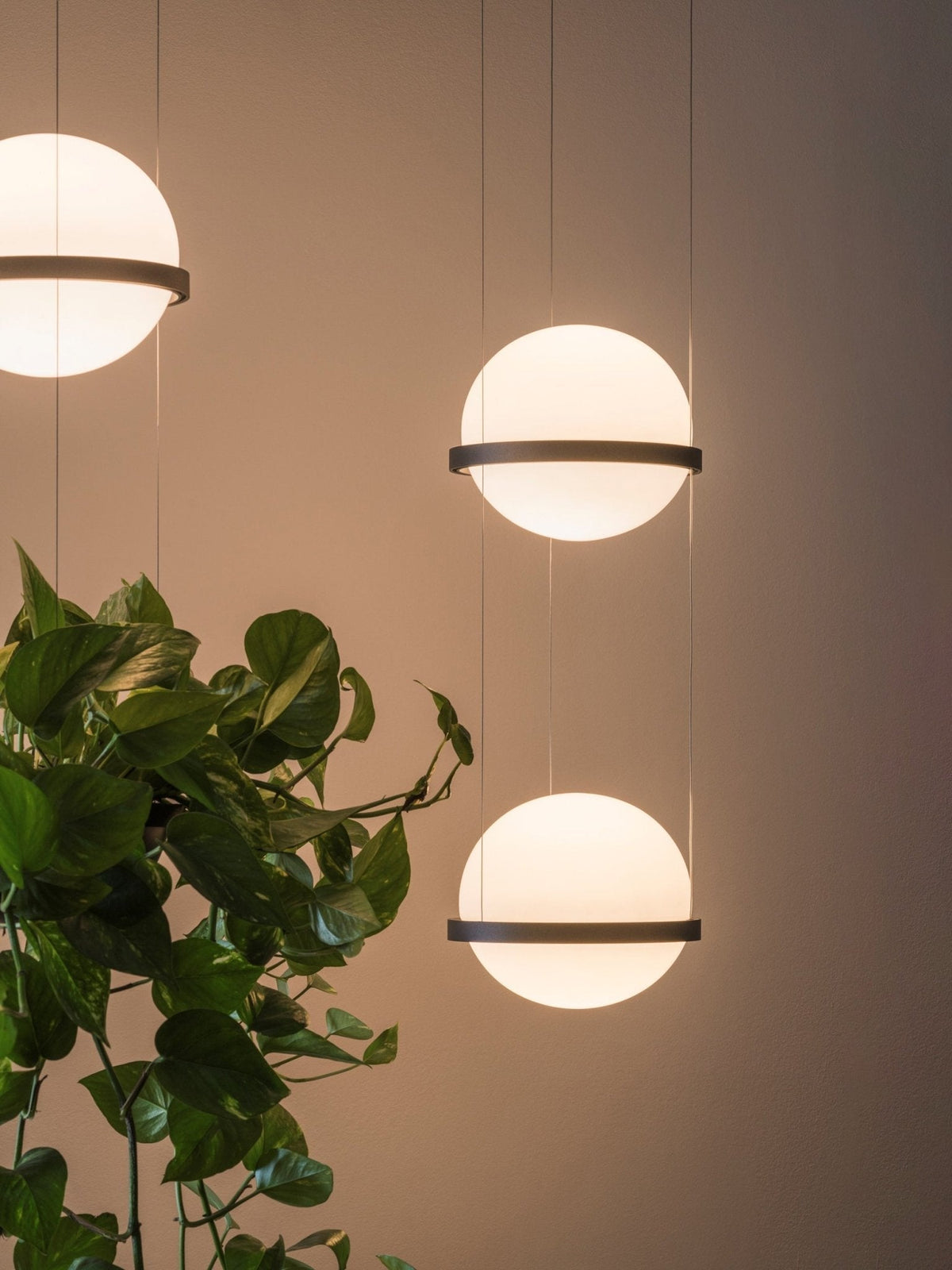 Niroise Acrylic Contemporary Pendant Lamp