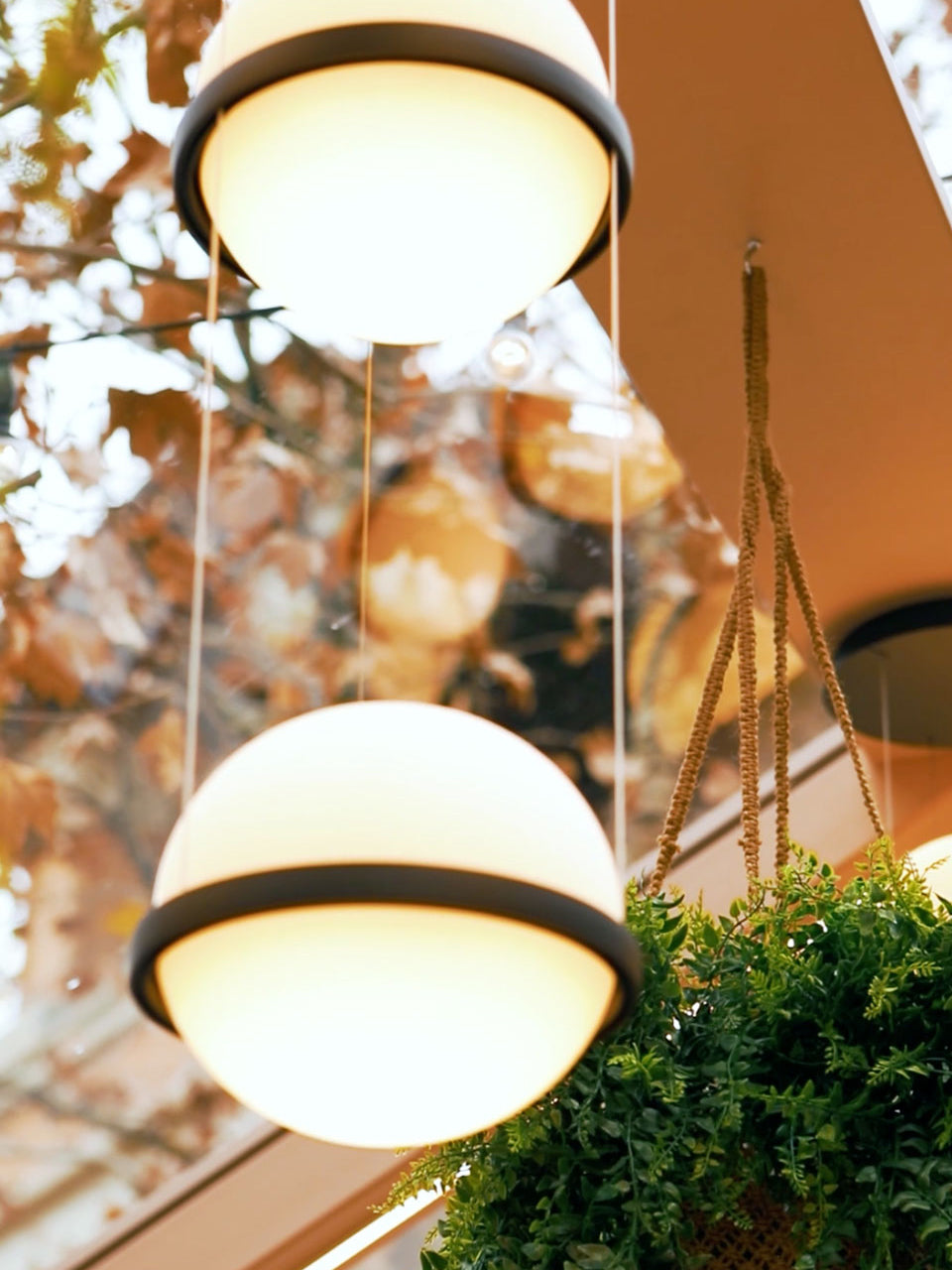 Niroise Acrylic Contemporary Pendant Lamp