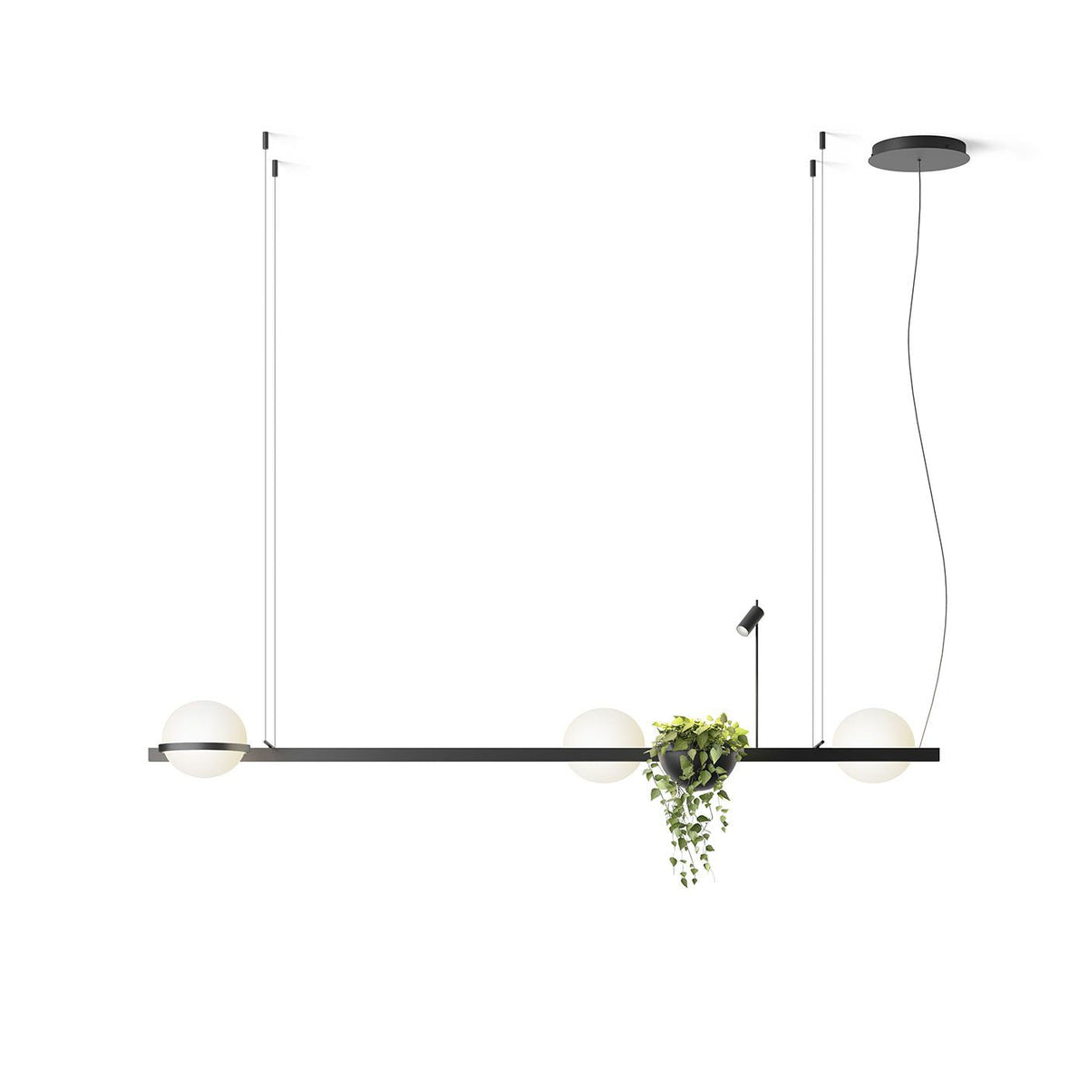 Niroise Acrylic Contemporary Pendant Lamp