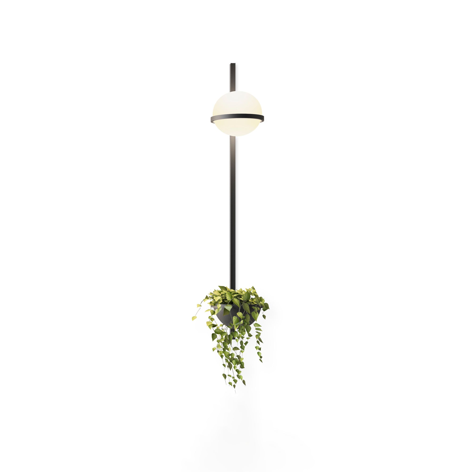 Elmarisra Modern Minimalist Wall Light