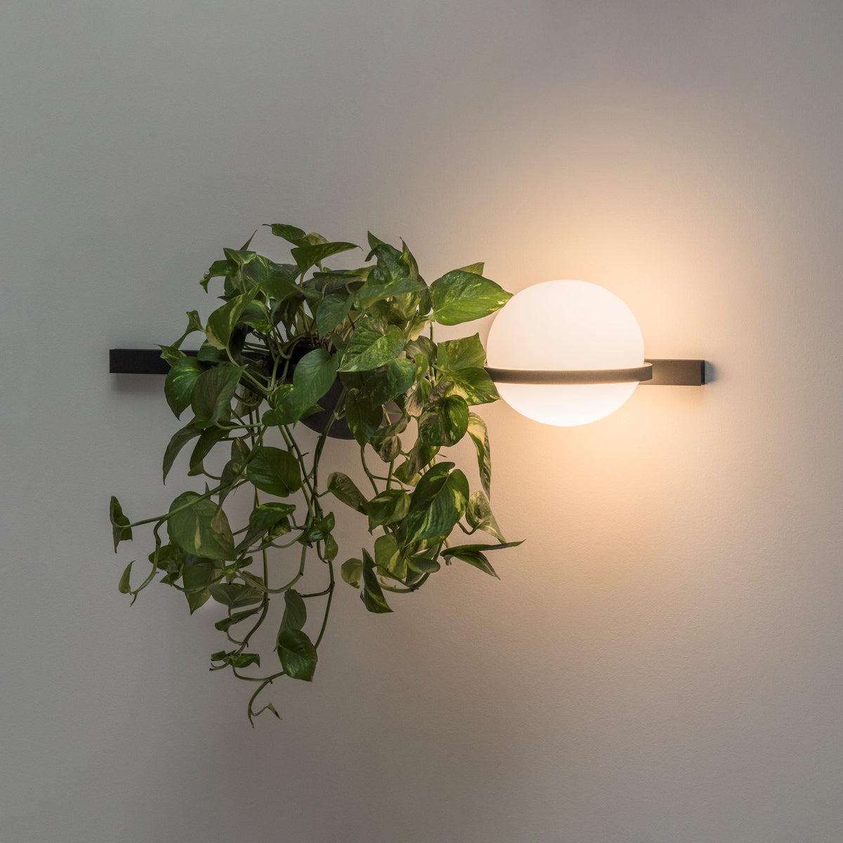 Elmarisra Modern Minimalist Wall Light
