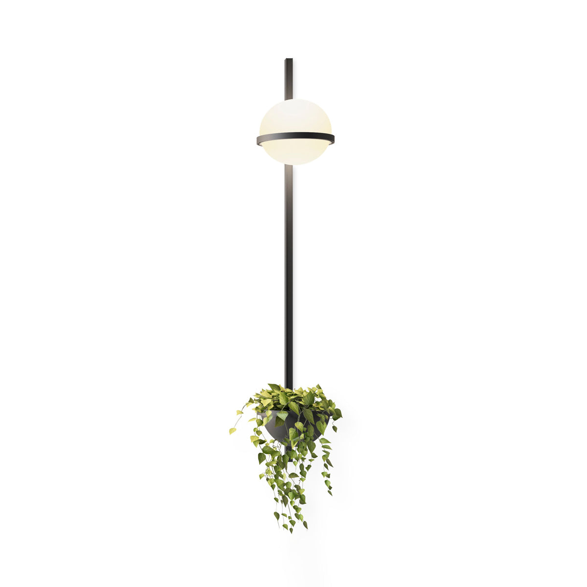 Elmarisra Modern Minimalist Wall Light