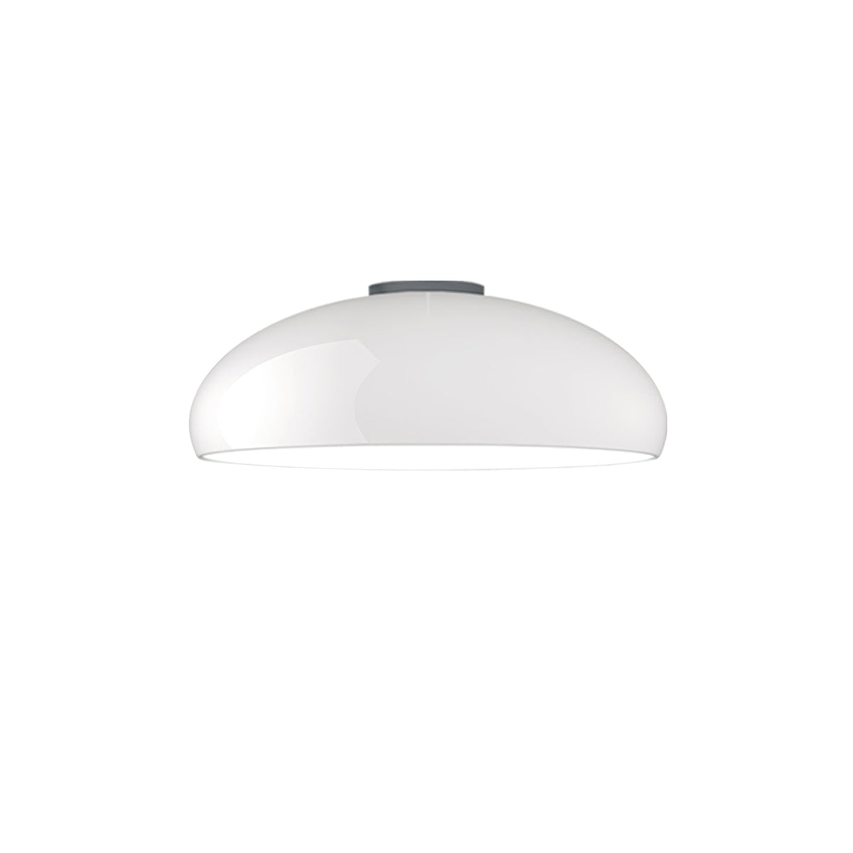 Tevenor Modern Minimalist Ceiling Lamp