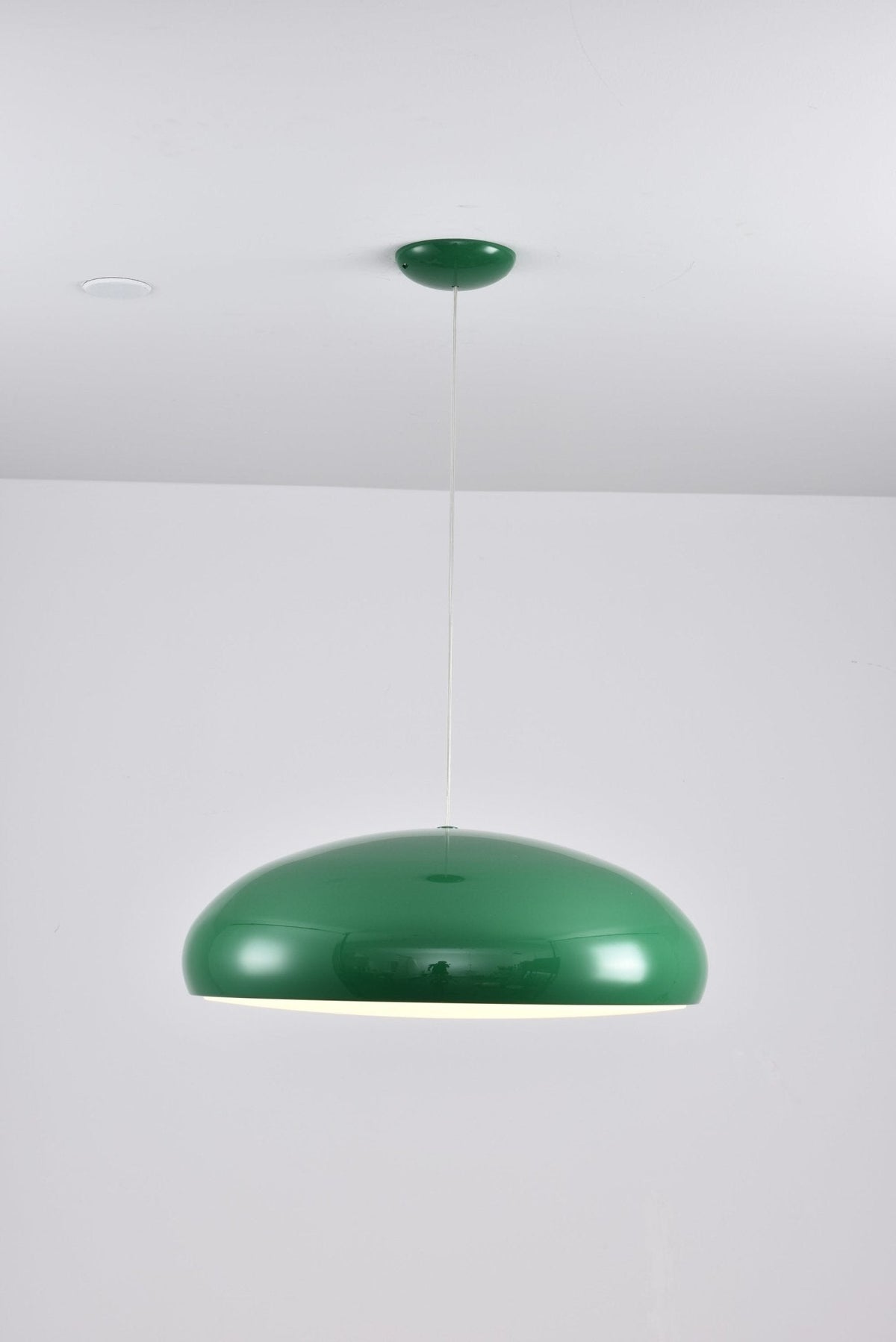 Renaraine Minimalist Pendant Lamp
