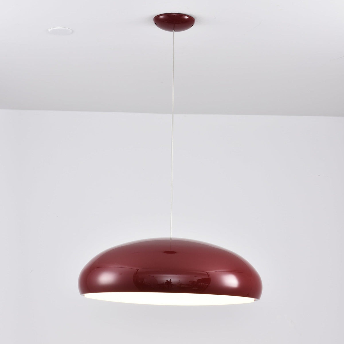 Renaraine Minimalist Pendant Lamp