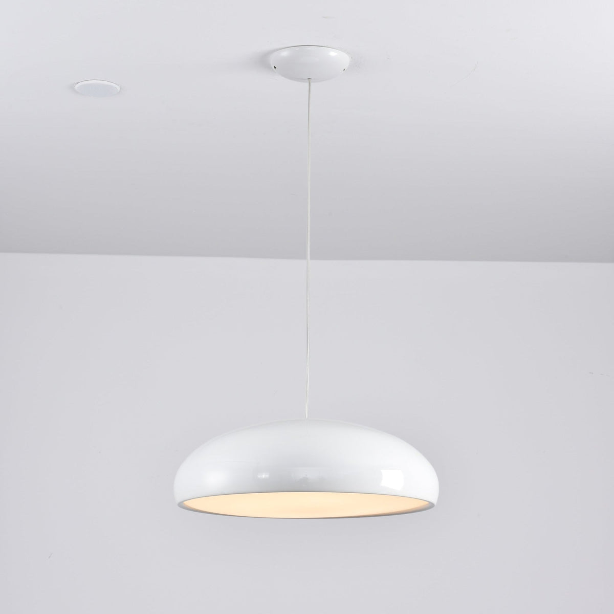 Renaraine Minimalist Pendant Lamp
