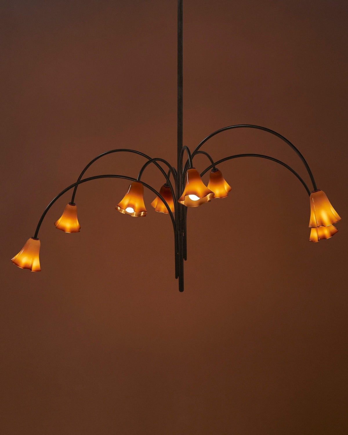 Lioreriel Chandelier Blossom Petal Glass Arms