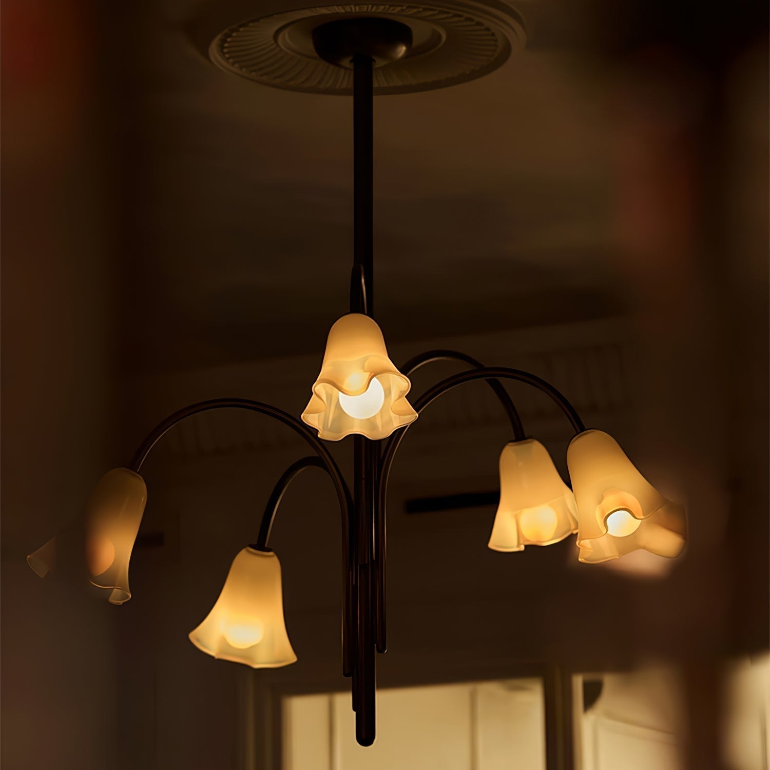 Lioreriel Chandelier Blossom Petal Glass Arms