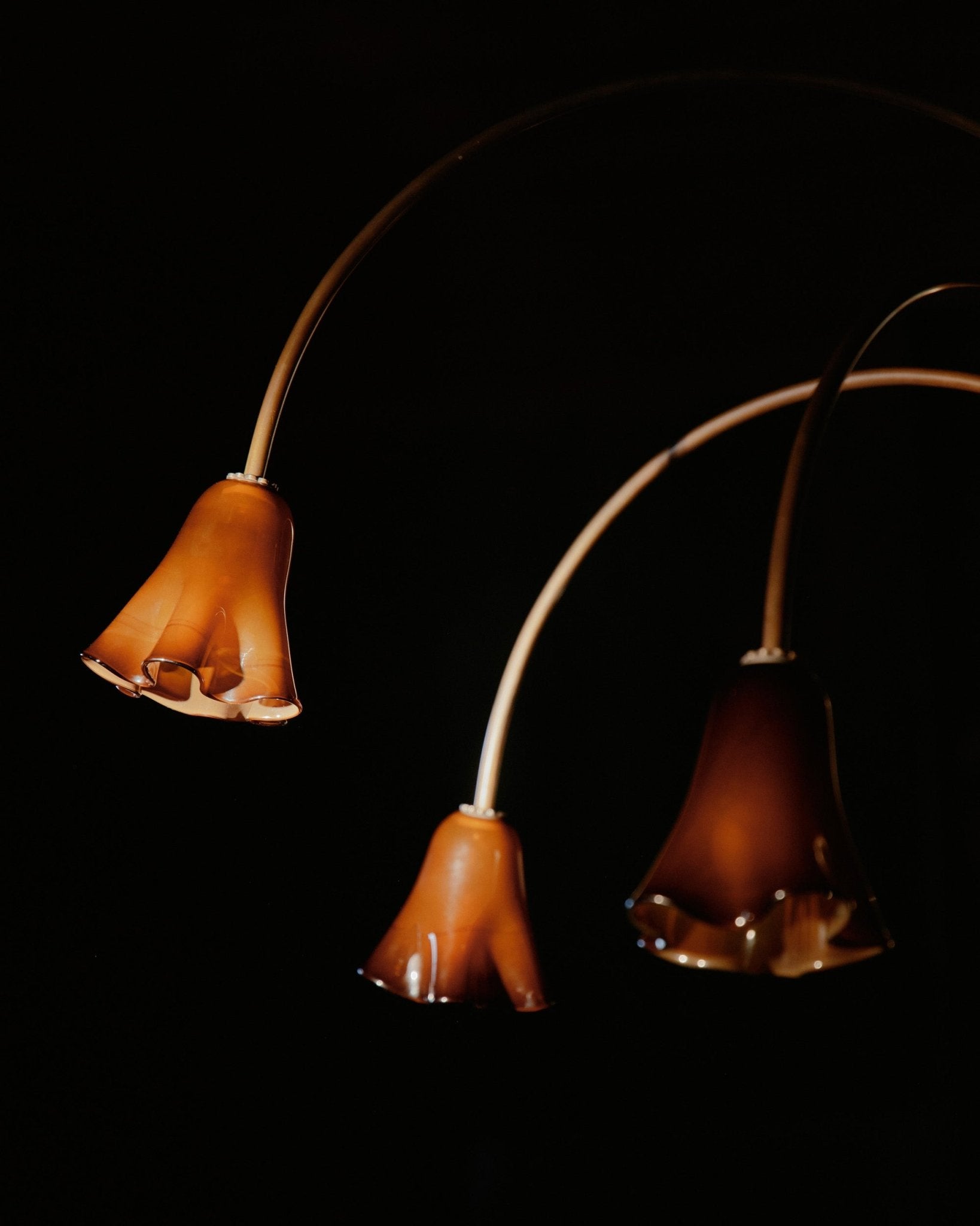 Lioreriel Chandelier Blossom Petal Glass Arms