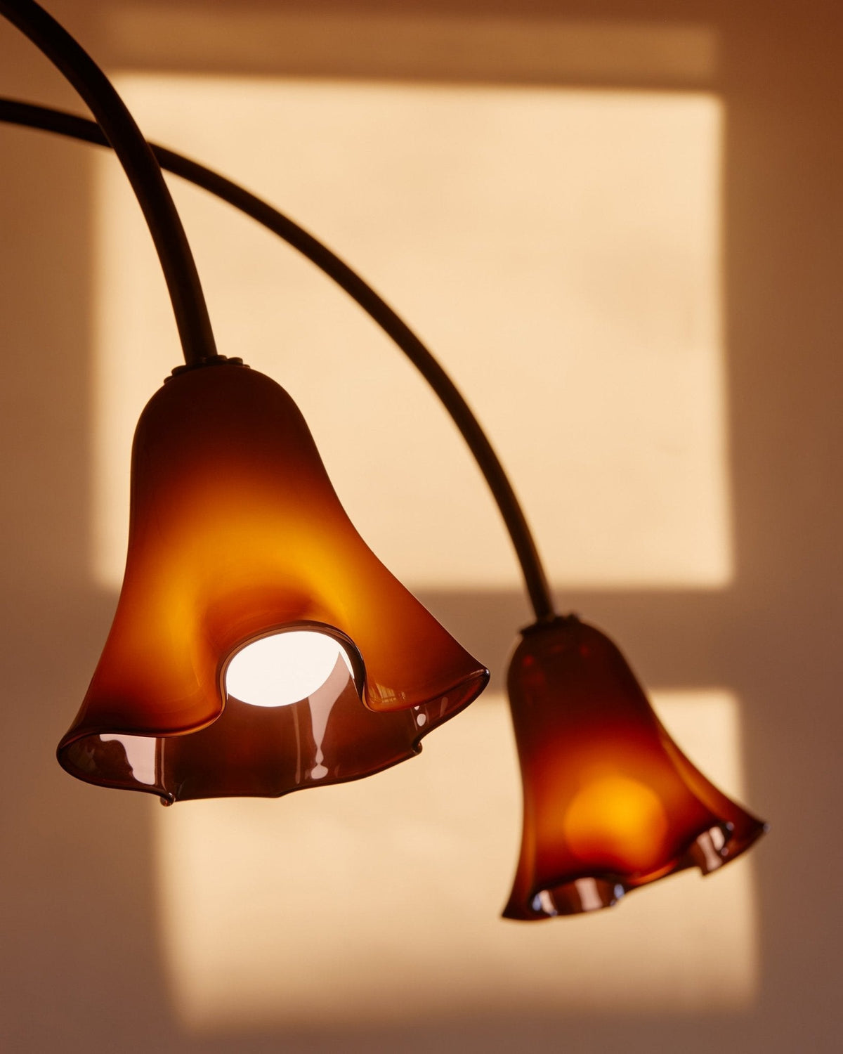 Lioreriel Chandelier Blossom Petal Glass Arms