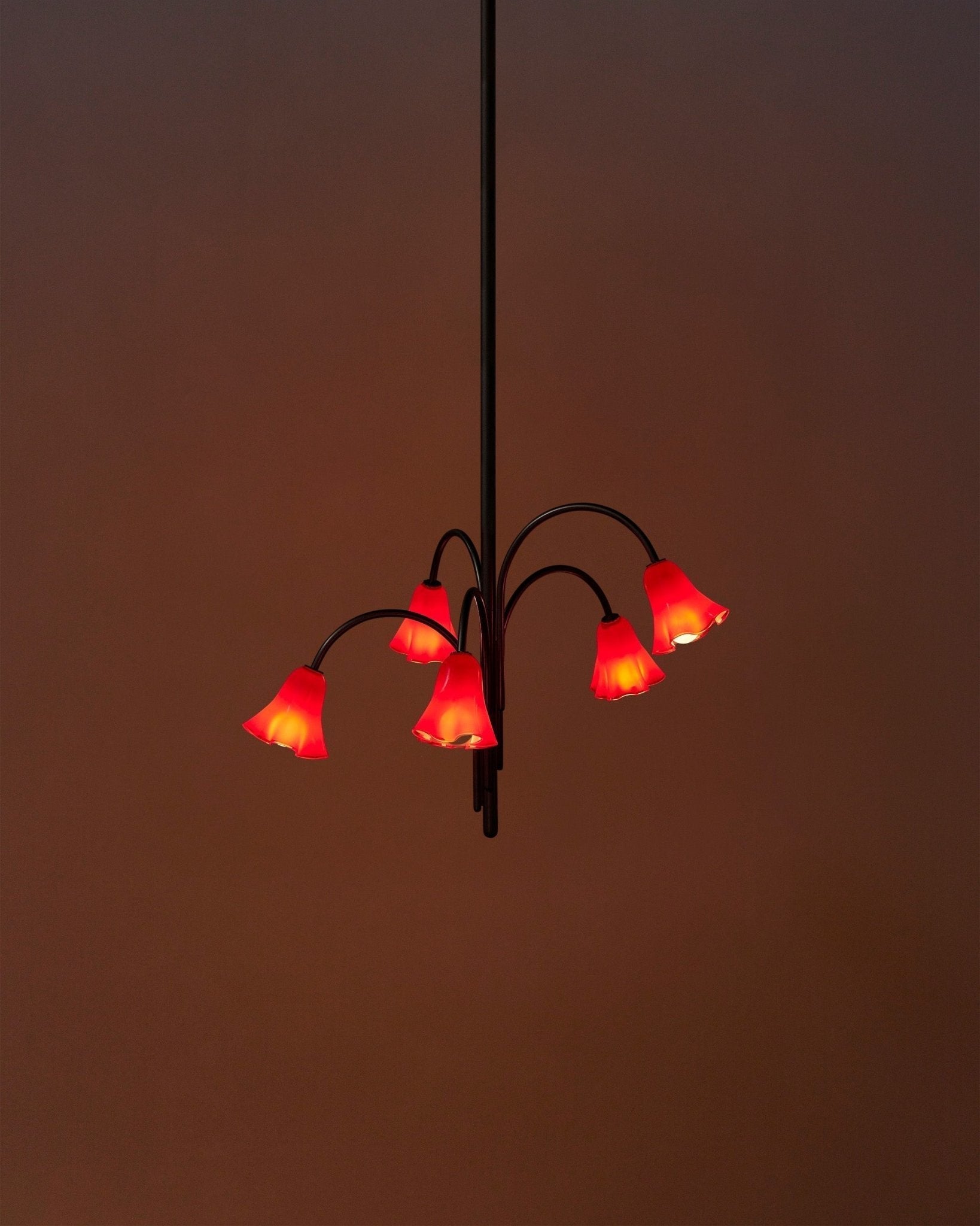 Lioreriel Chandelier Blossom Petal Glass Arms
