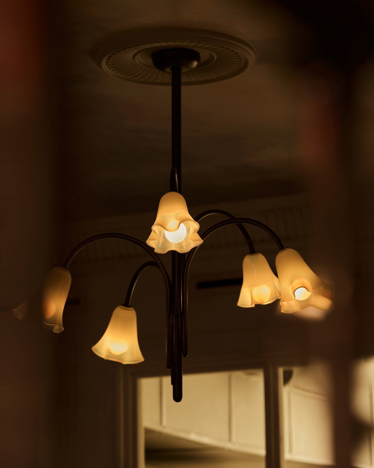 Lioreriel Chandelier Blossom Petal Glass Arms