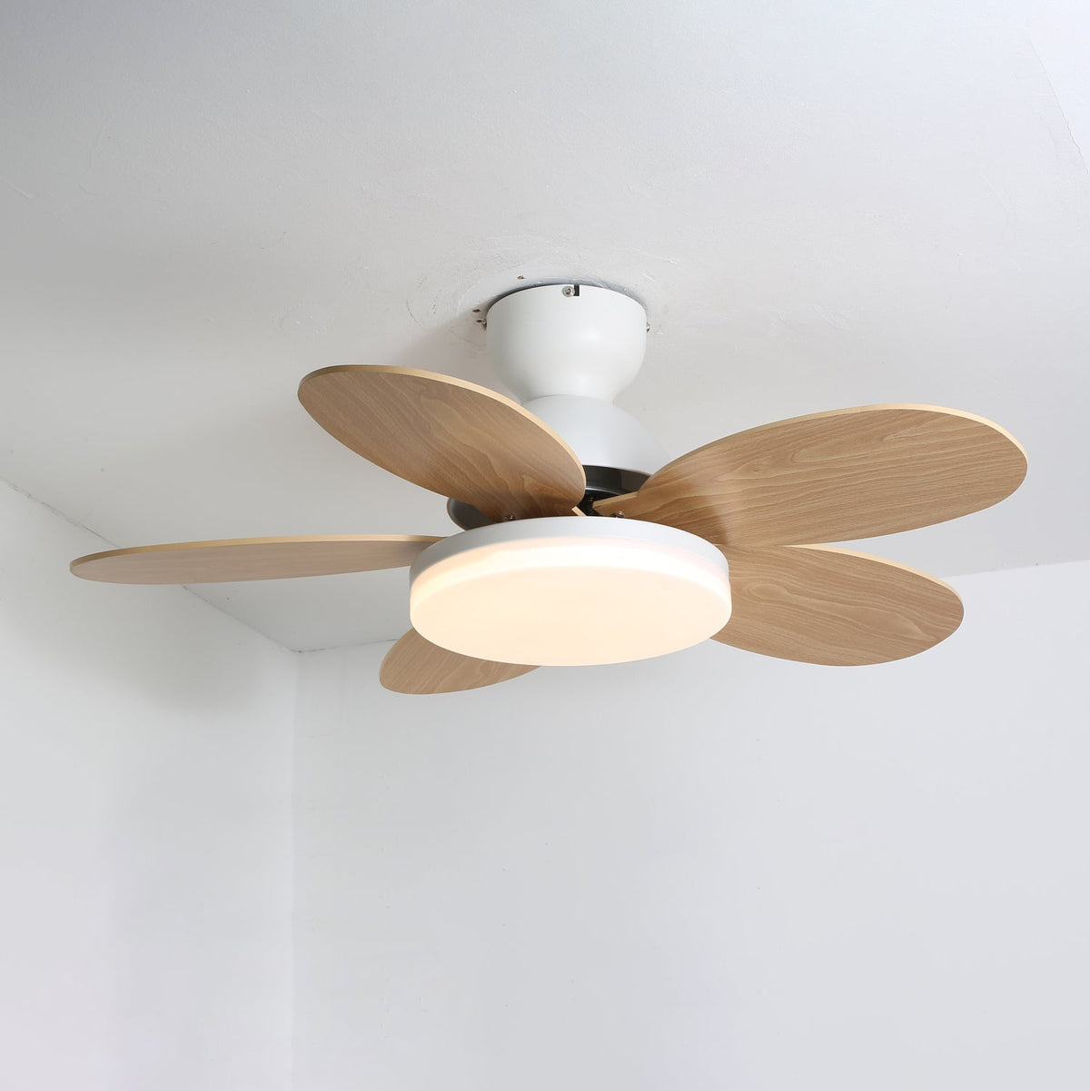 Norborne Wood Ceiling Fan Light
