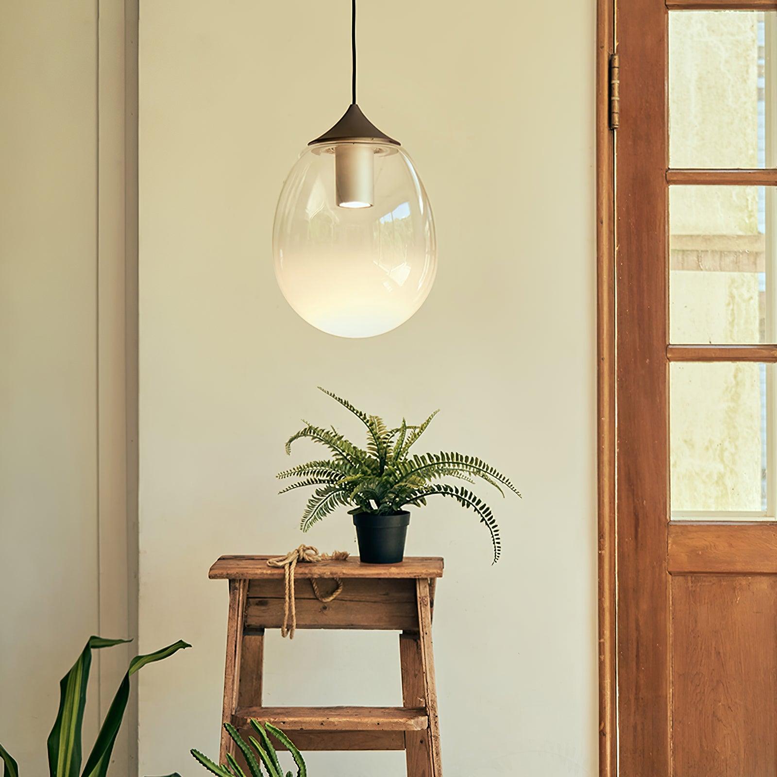 Ovoin Glass Artistic Pendant Light