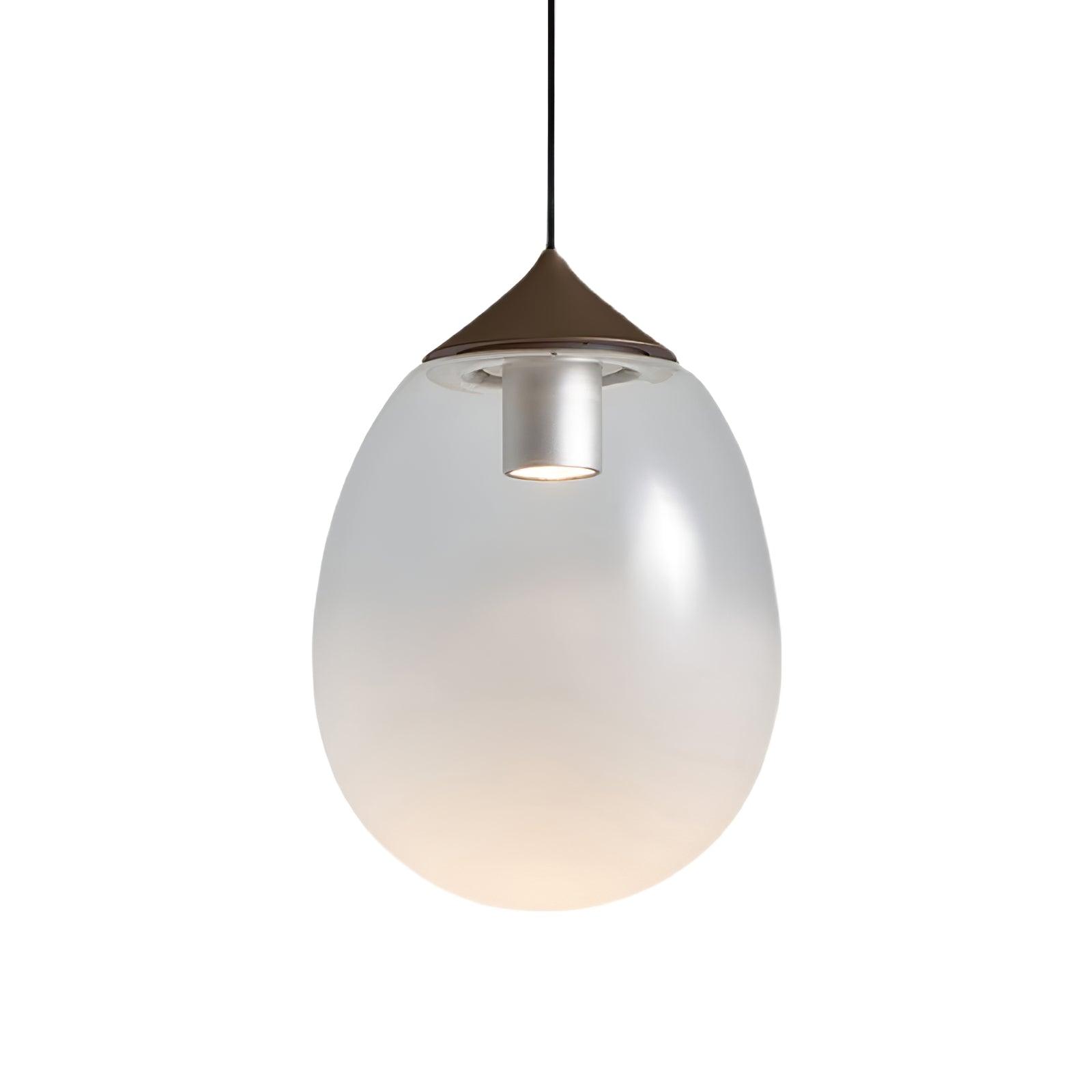 Ovoin Glass Artistic Pendant Light