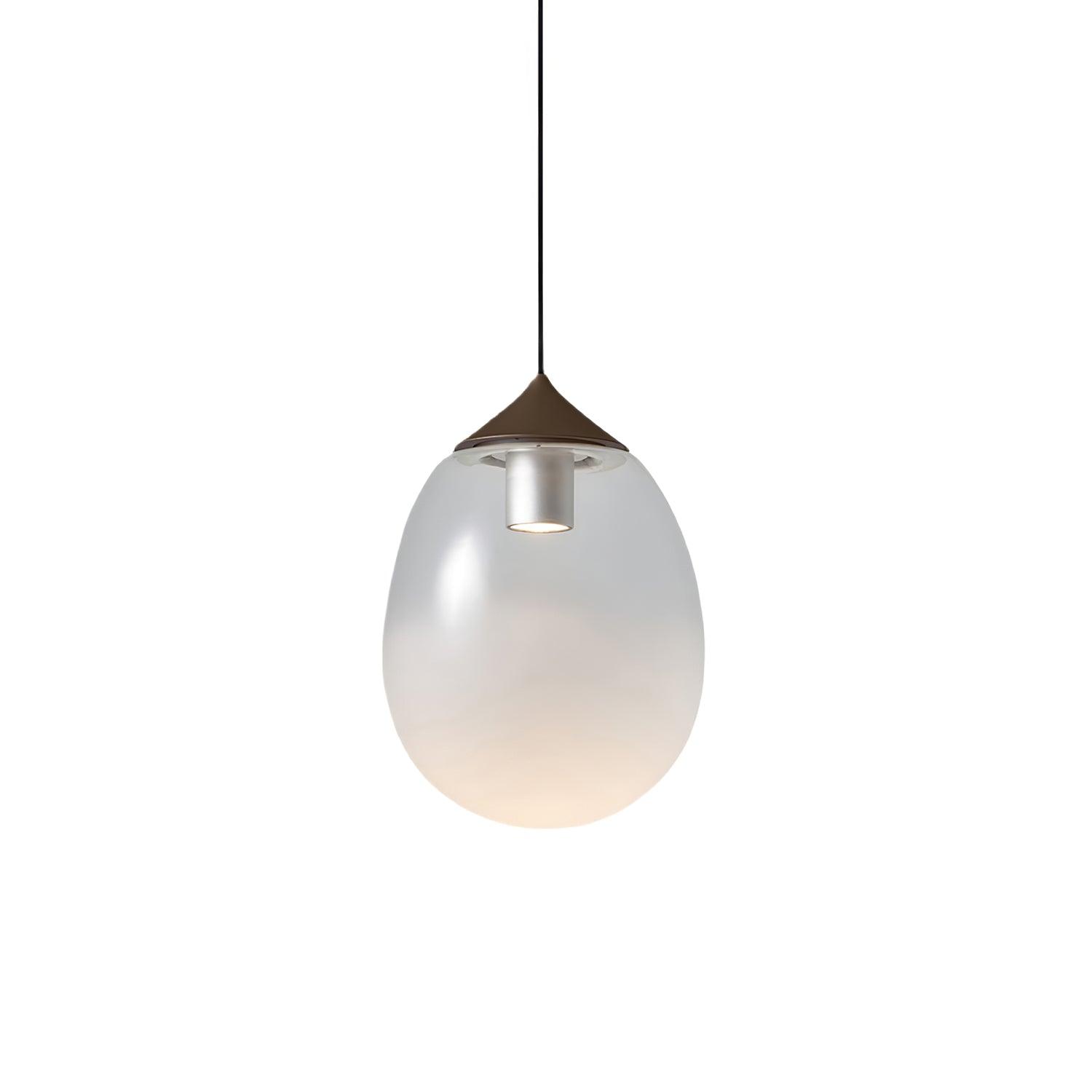 Ovoin Glass Artistic Pendant Light