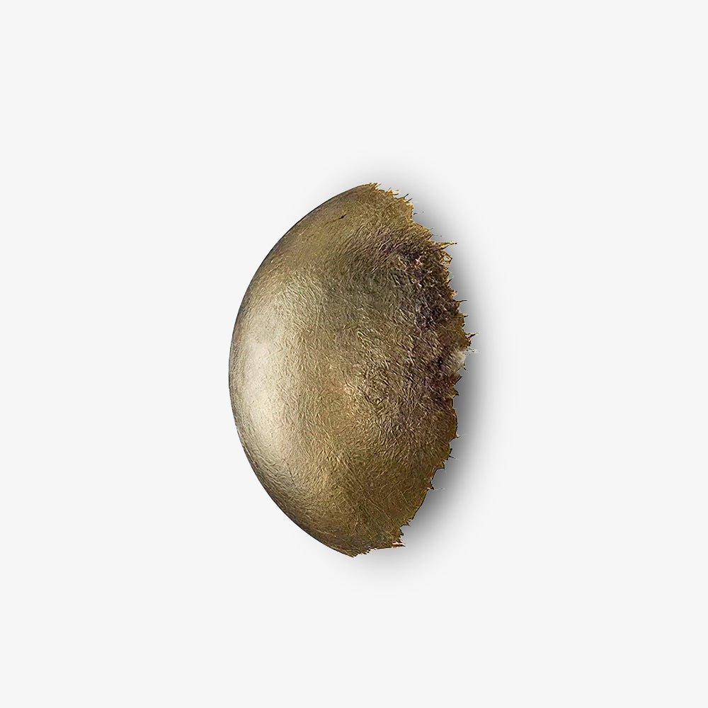 Ciroiella Contemporary Wall Lamp