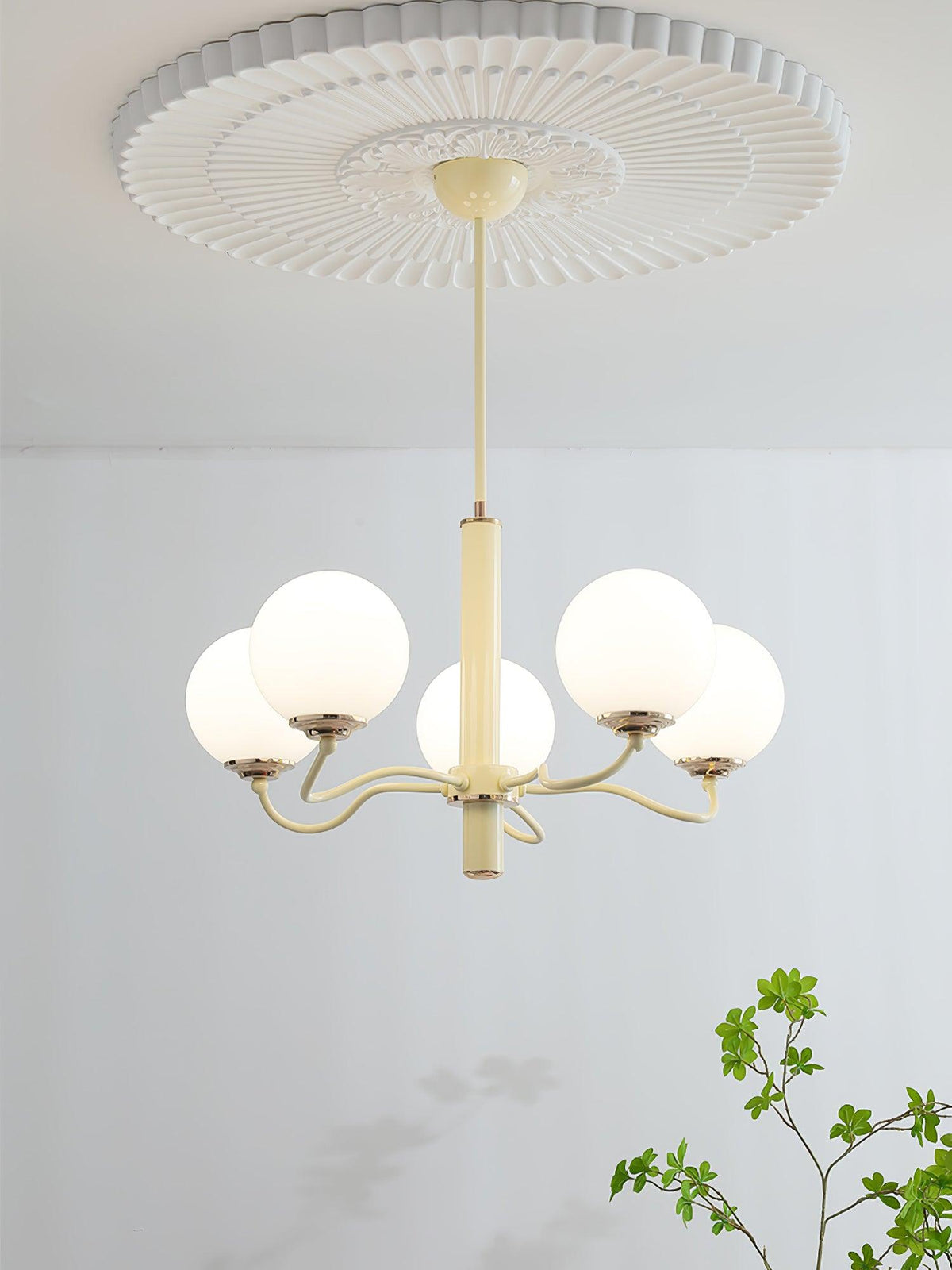 Seleora Chandelier Radiant Globe