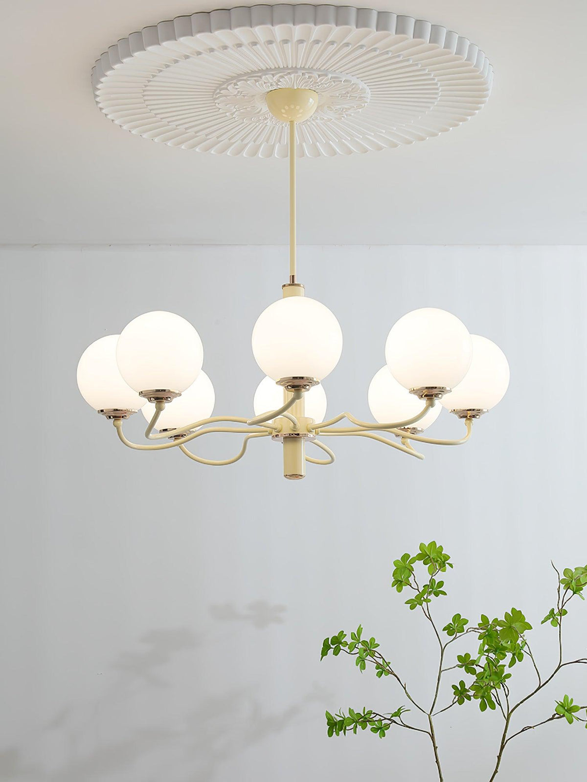 Seleora Chandelier Radiant Globe
