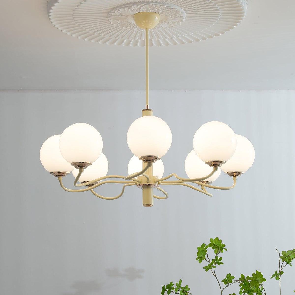 Seleora Chandelier Radiant Globe