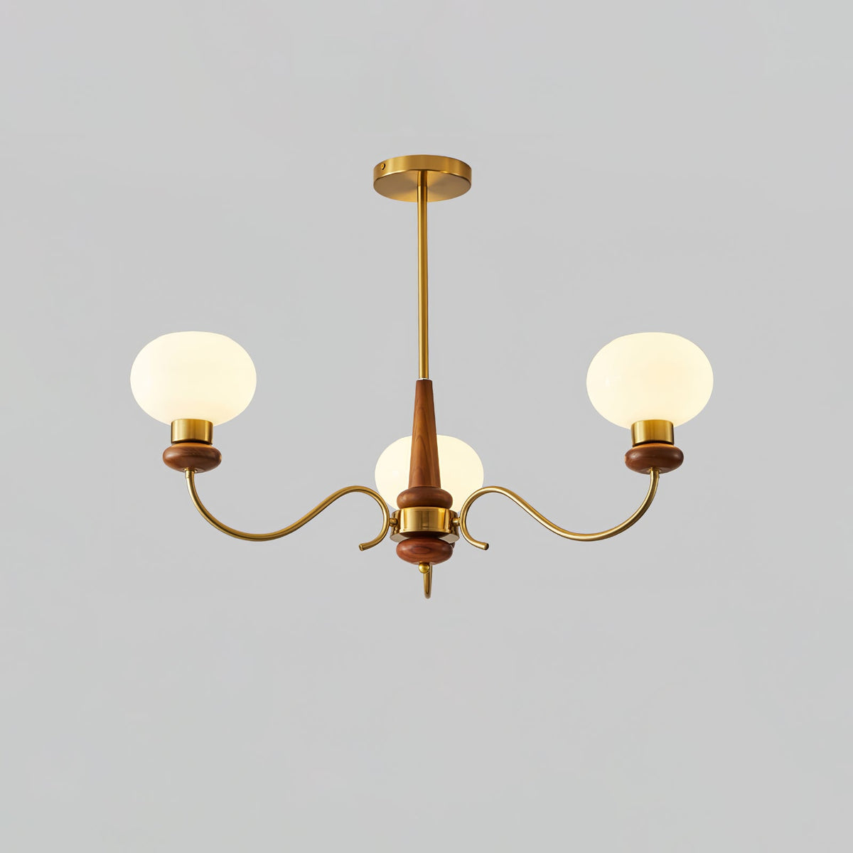 Riniena Chandelier Brass Wood Globe Classic