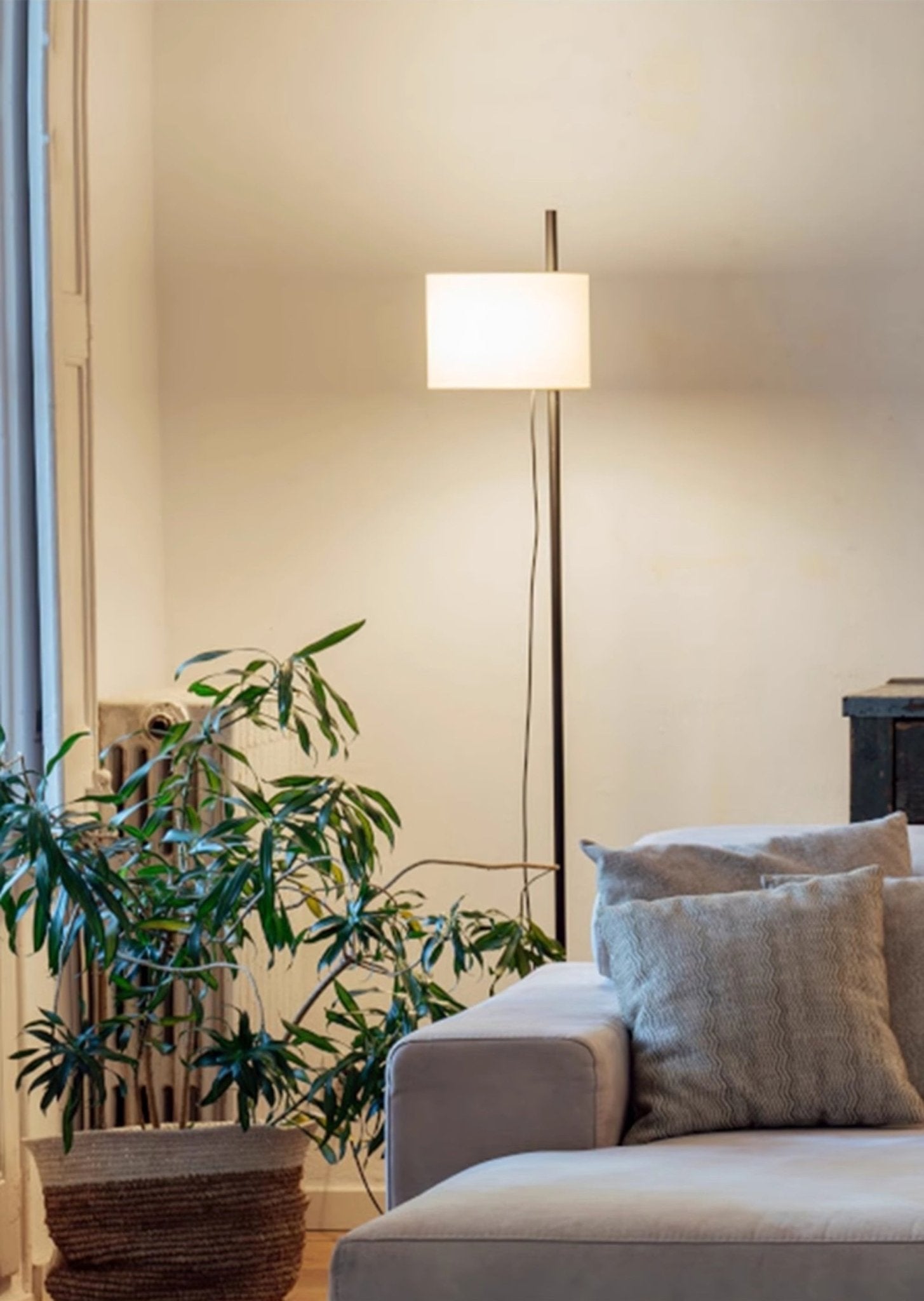 Selerise Minimalist Floor Lamp
