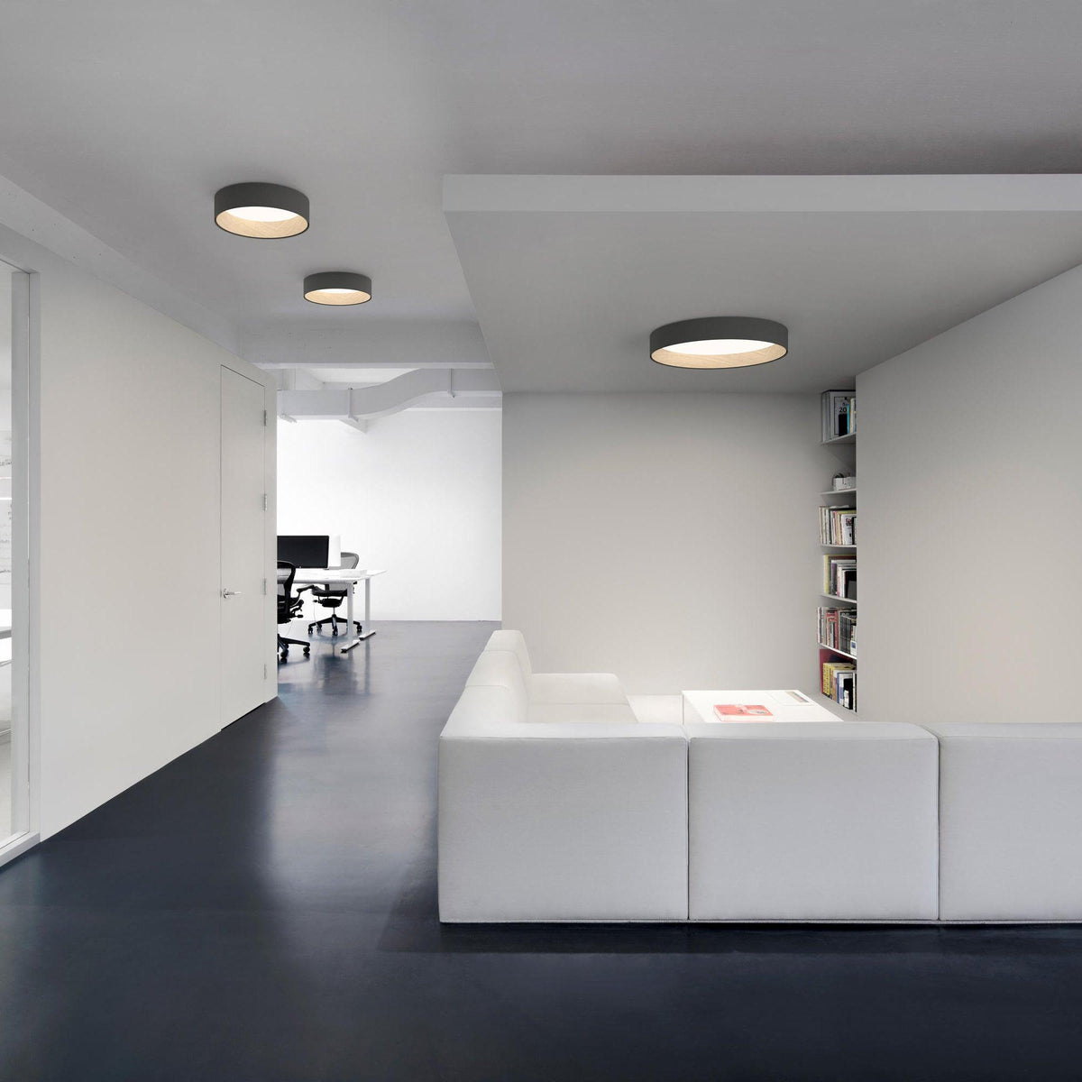Cirarena Modern Minimalist Round Ceiling Lamp