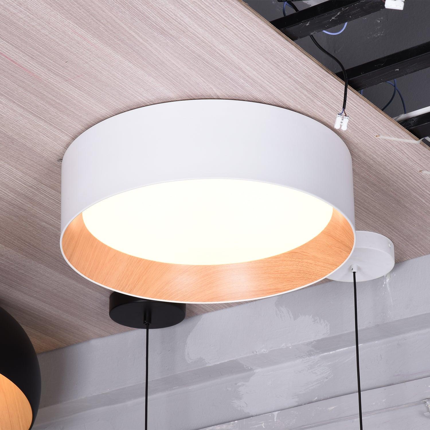 Cirarena Modern Minimalist Round Ceiling Lamp