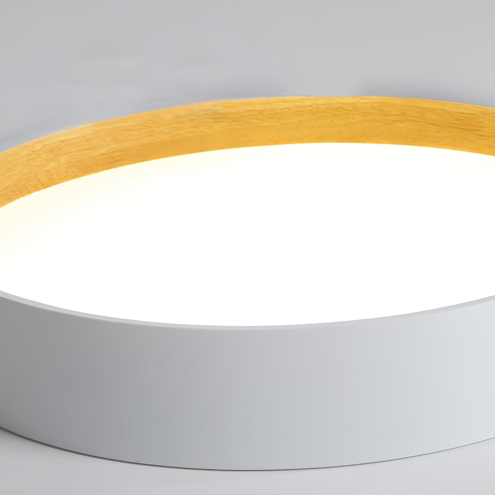 Cirarena Modern Minimalist Round Ceiling Lamp