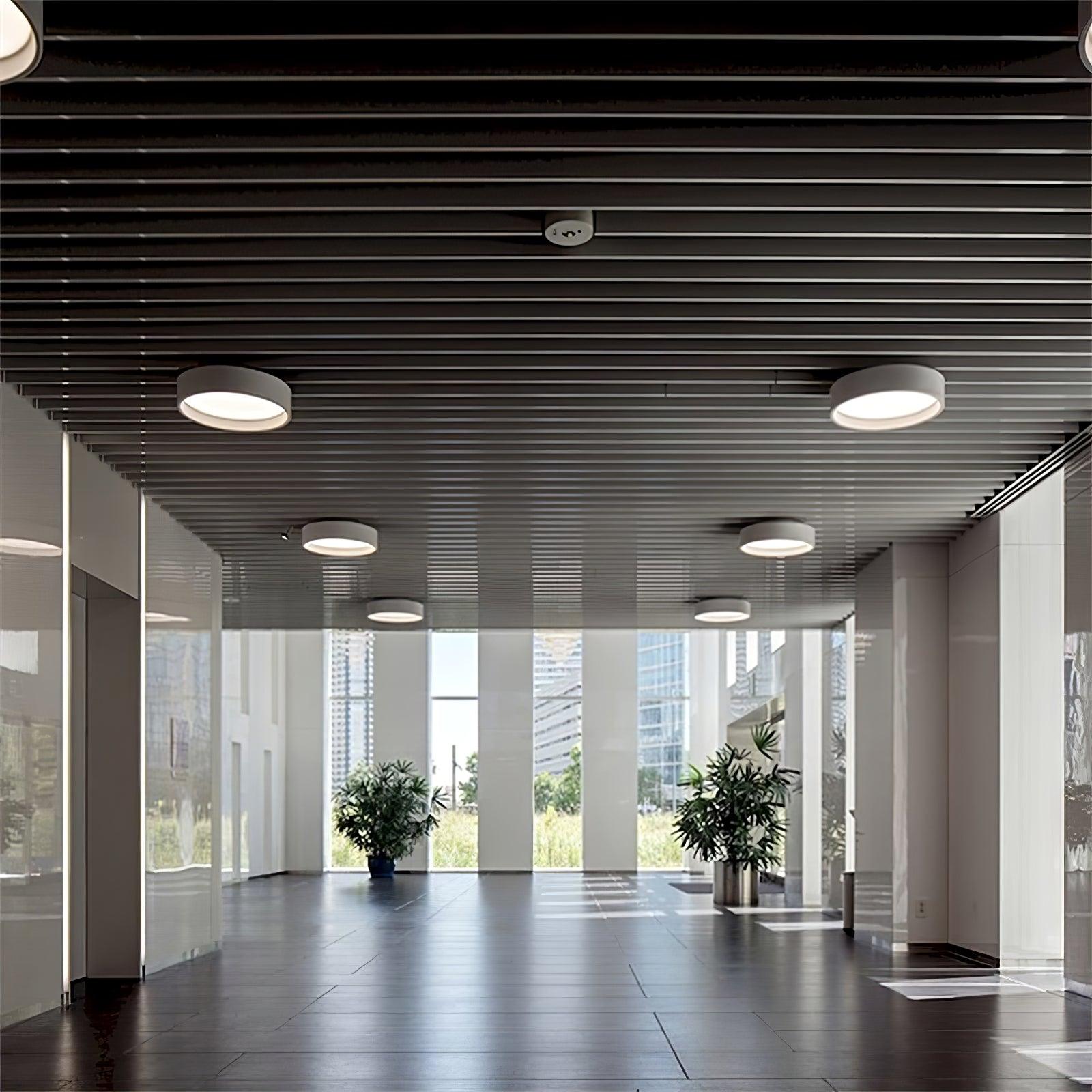 Cirarena Modern Minimalist Round Ceiling Lamp