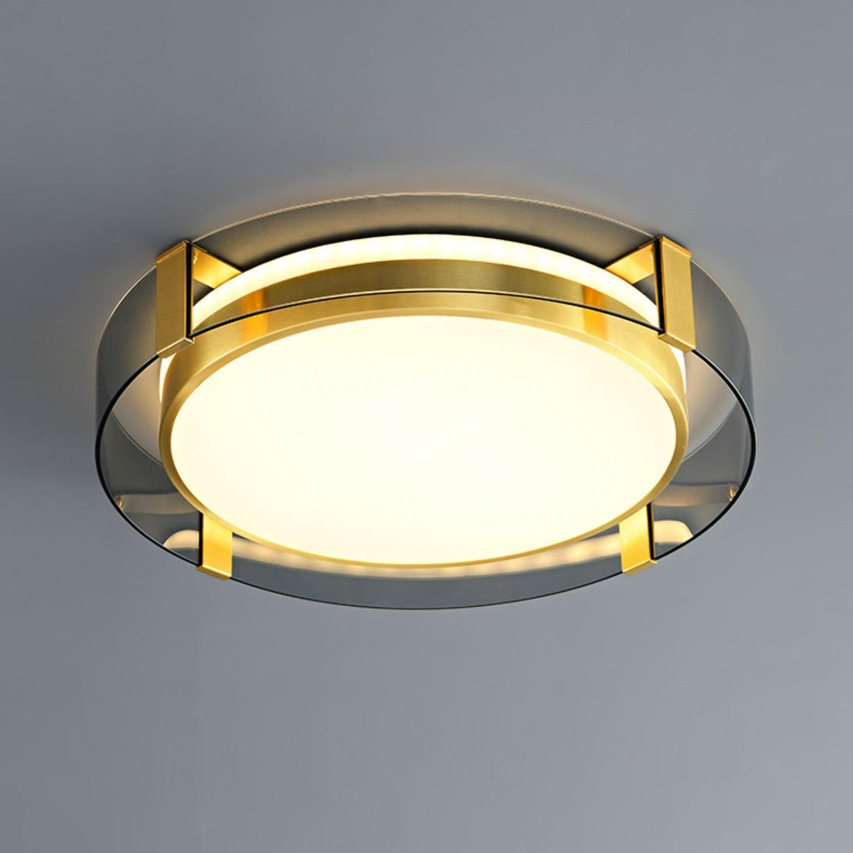 Erliris Round Low Profile Ceiling Light