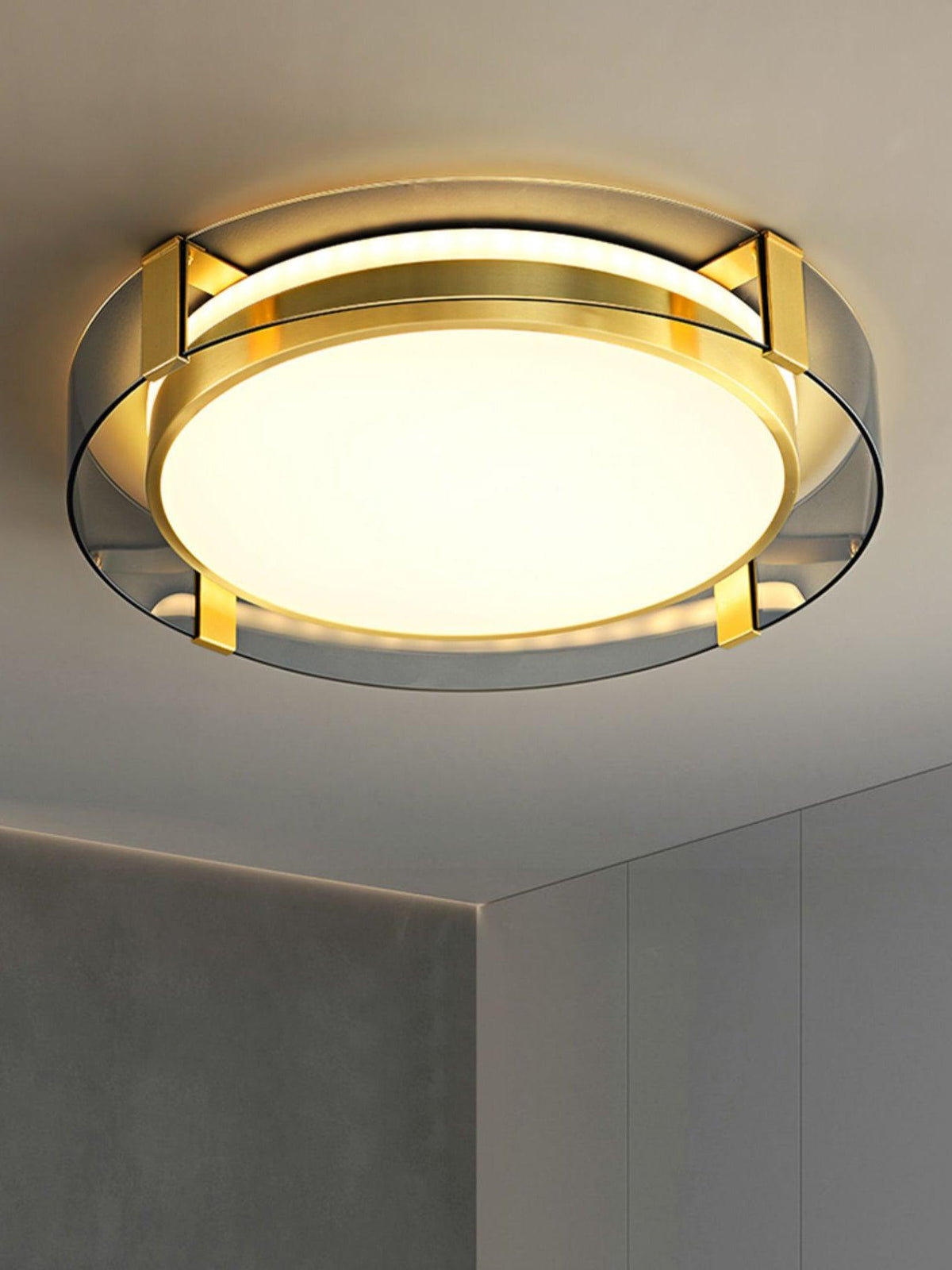 Erliris Round Low Profile Ceiling Light
