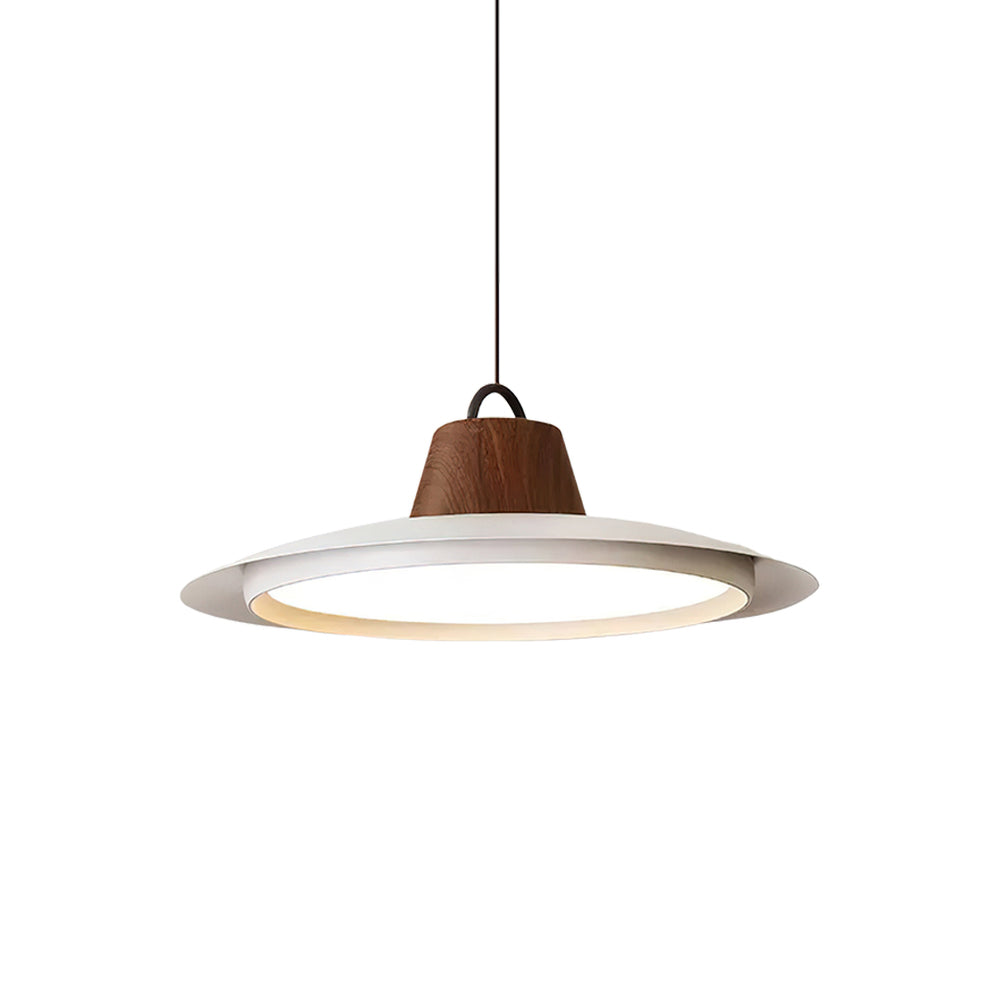 Liorivaine Modern Pendant Light