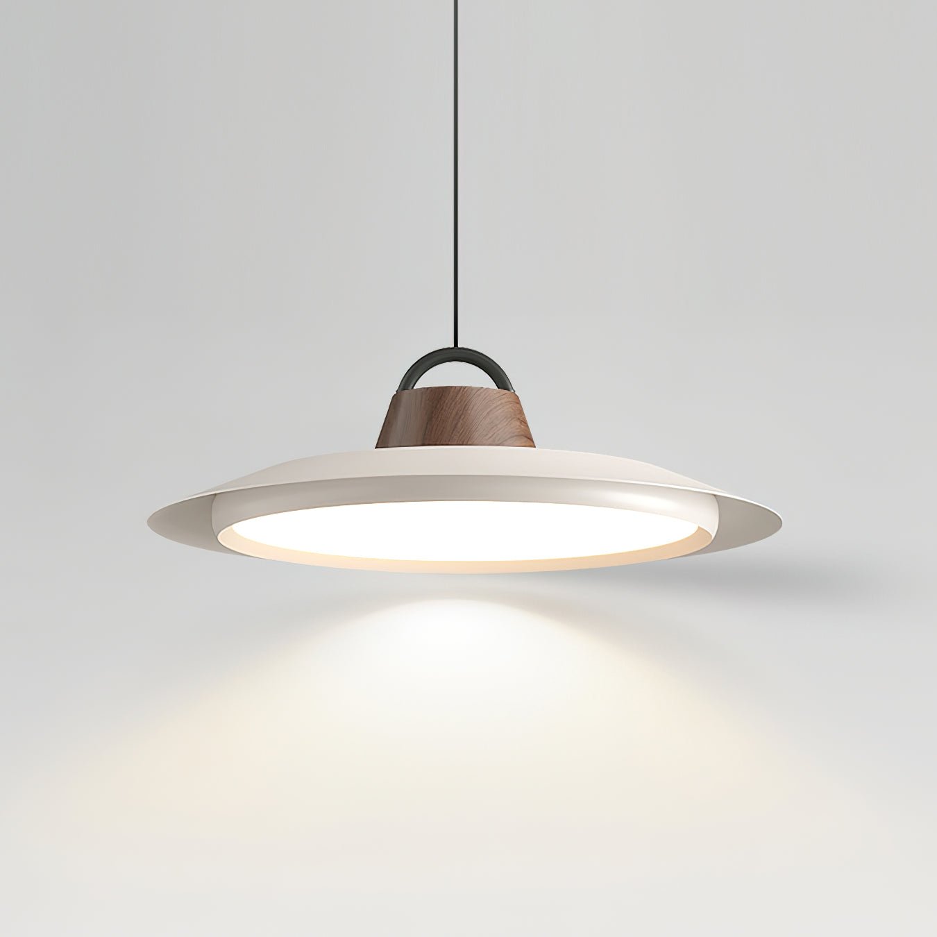 Liorivaine Modern Pendant Light