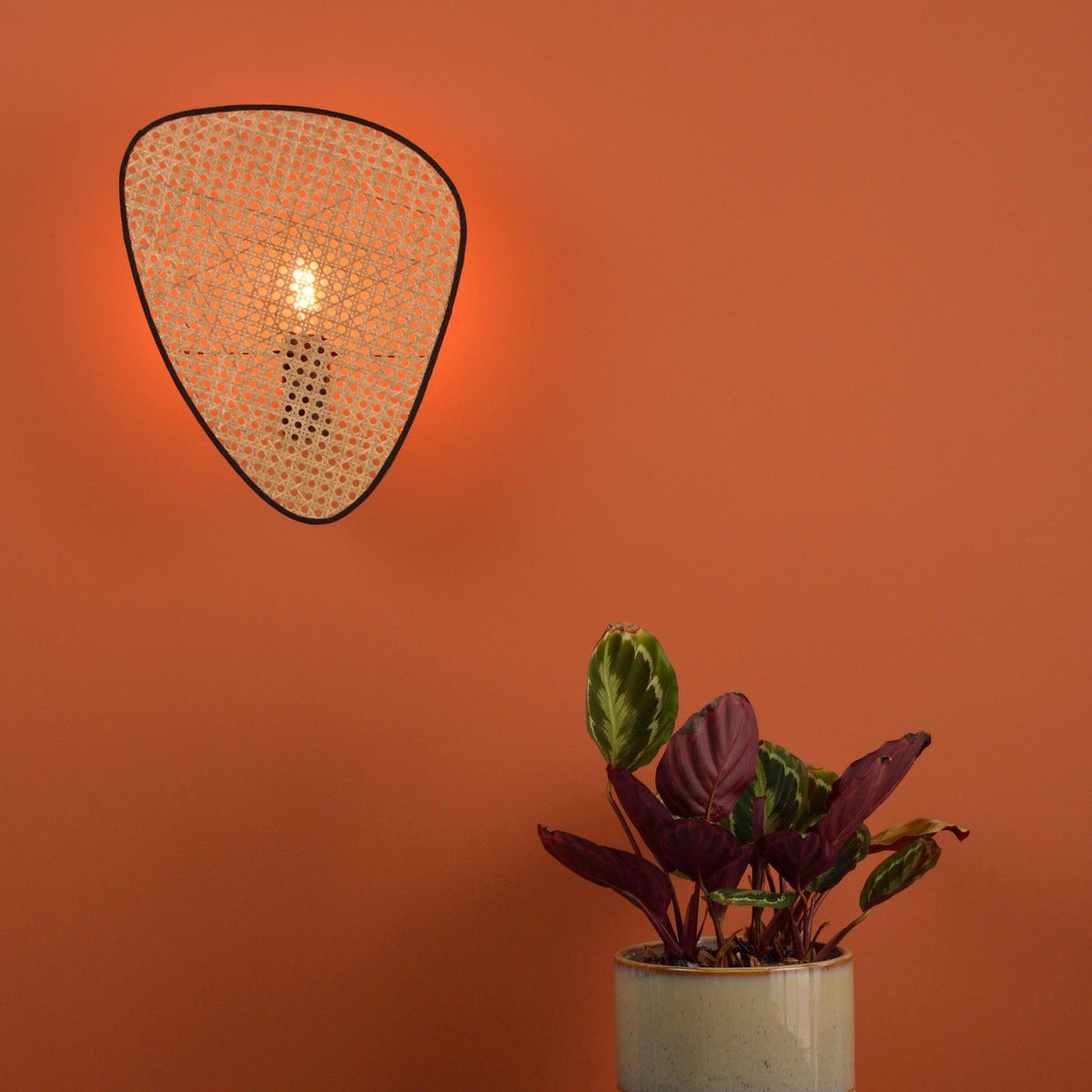 Caneira Art Natural Cannage Bamboo Sconce Wall lamp