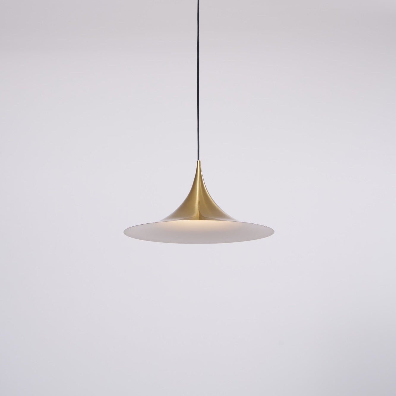 Lioreina Swag Pendant Light