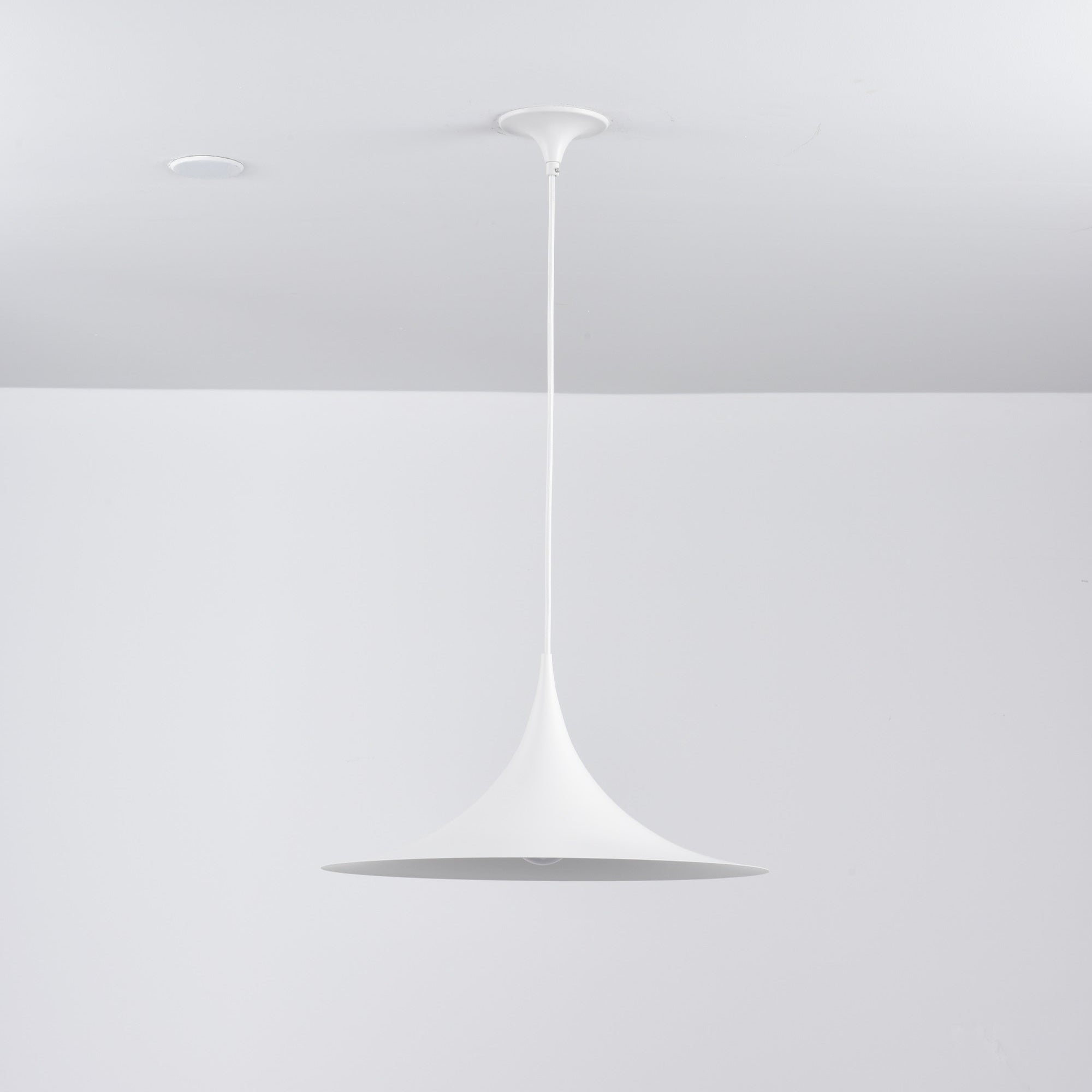 Valerira Steel Sculptural Pendant Light