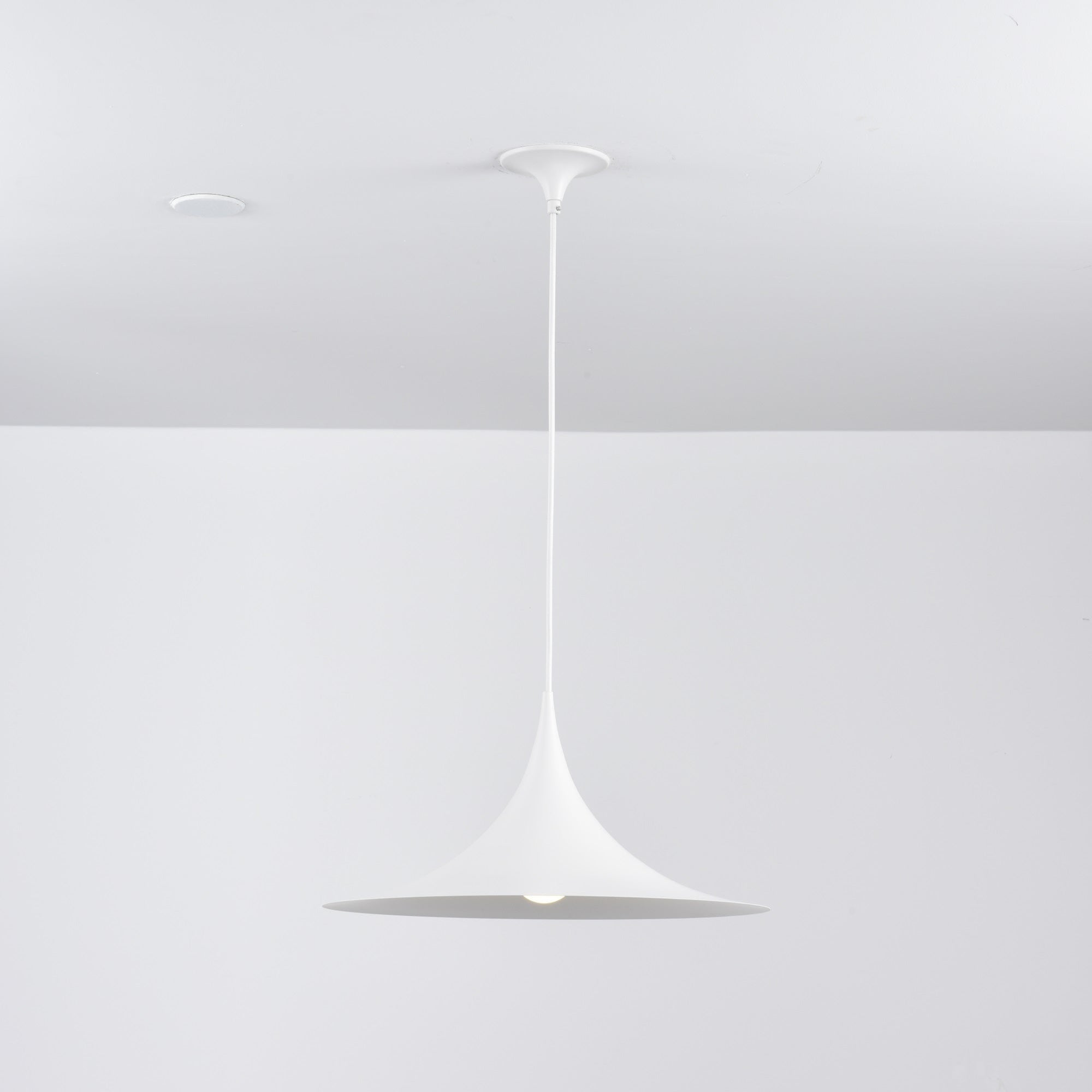 Lioreina Swag Pendant Light