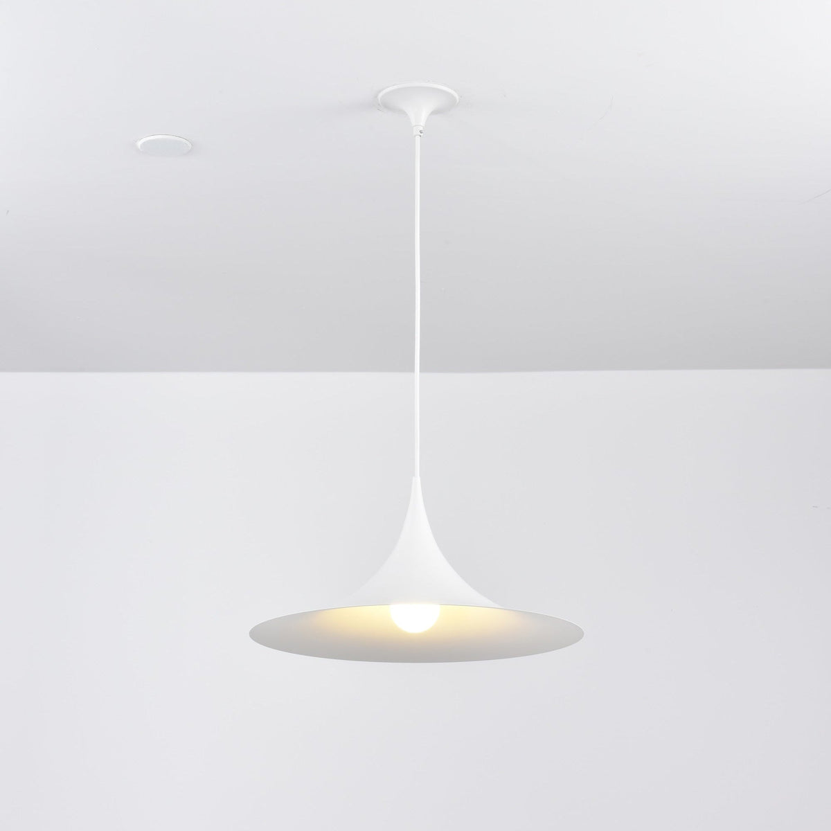 Valerira Steel Sculptural Pendant Light