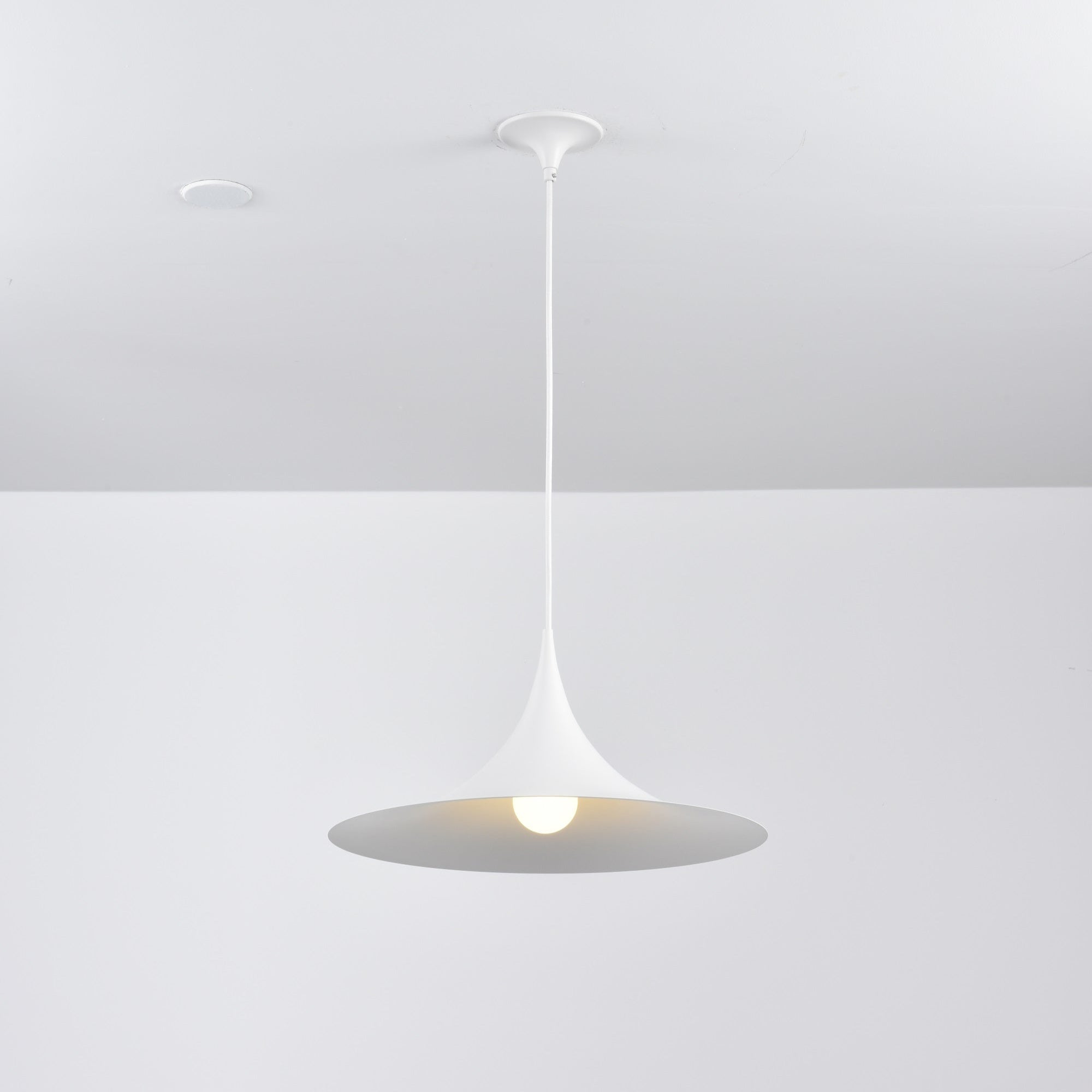 Valerira Steel Sculptural Pendant Light