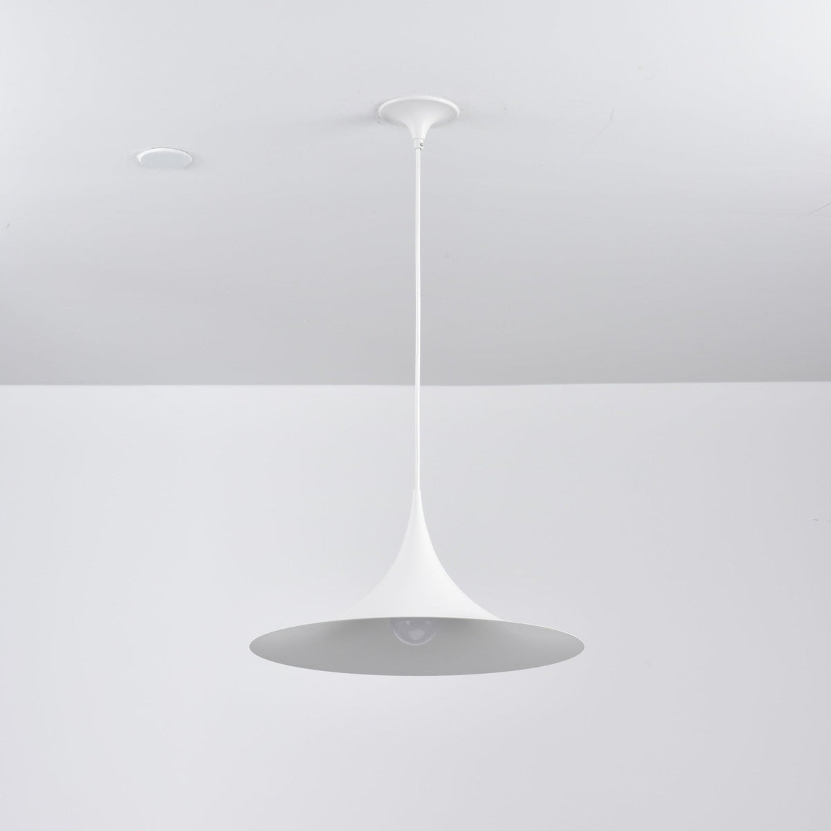 Valerira Steel Sculptural Pendant Light