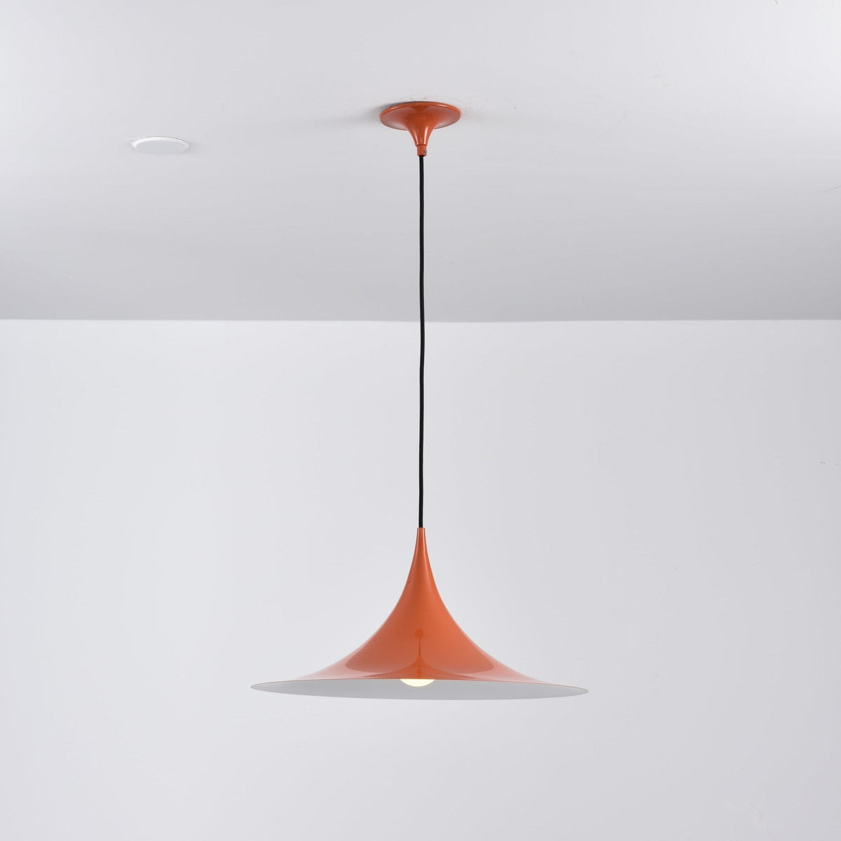 Lioreina Swag Pendant Light
