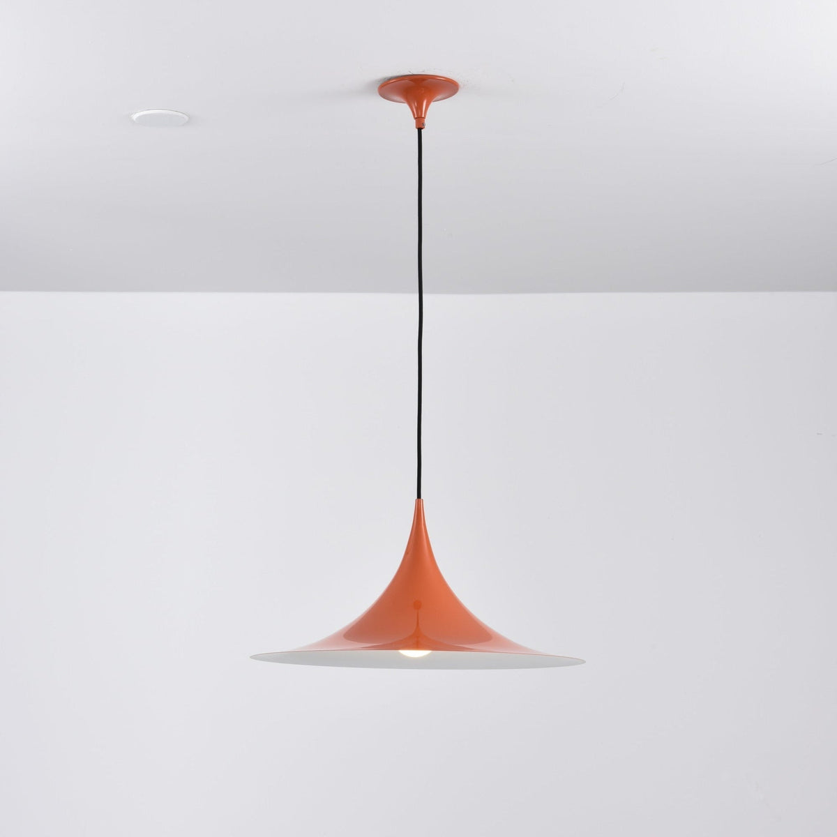 Lioreina Swag Pendant Light