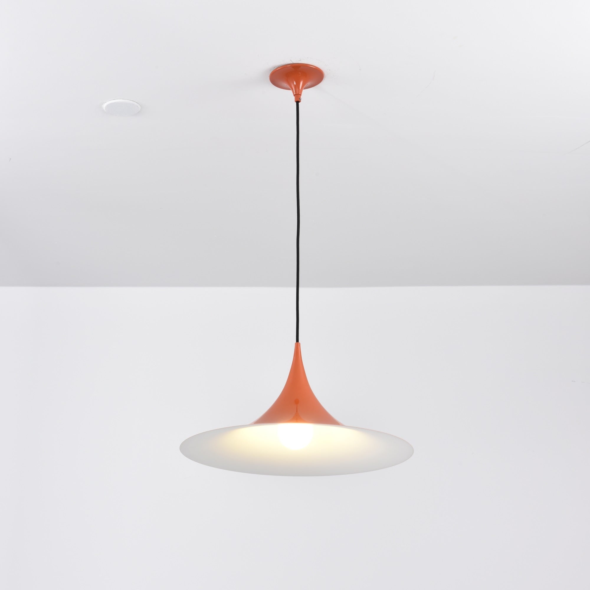 Valerira Steel Sculptural Pendant Light