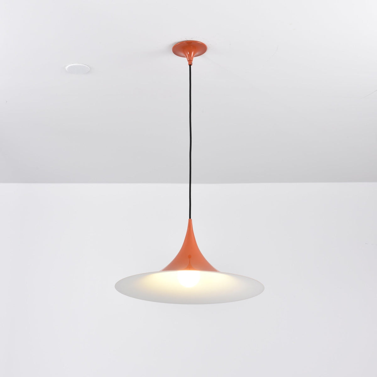 Lioreina Swag Pendant Light