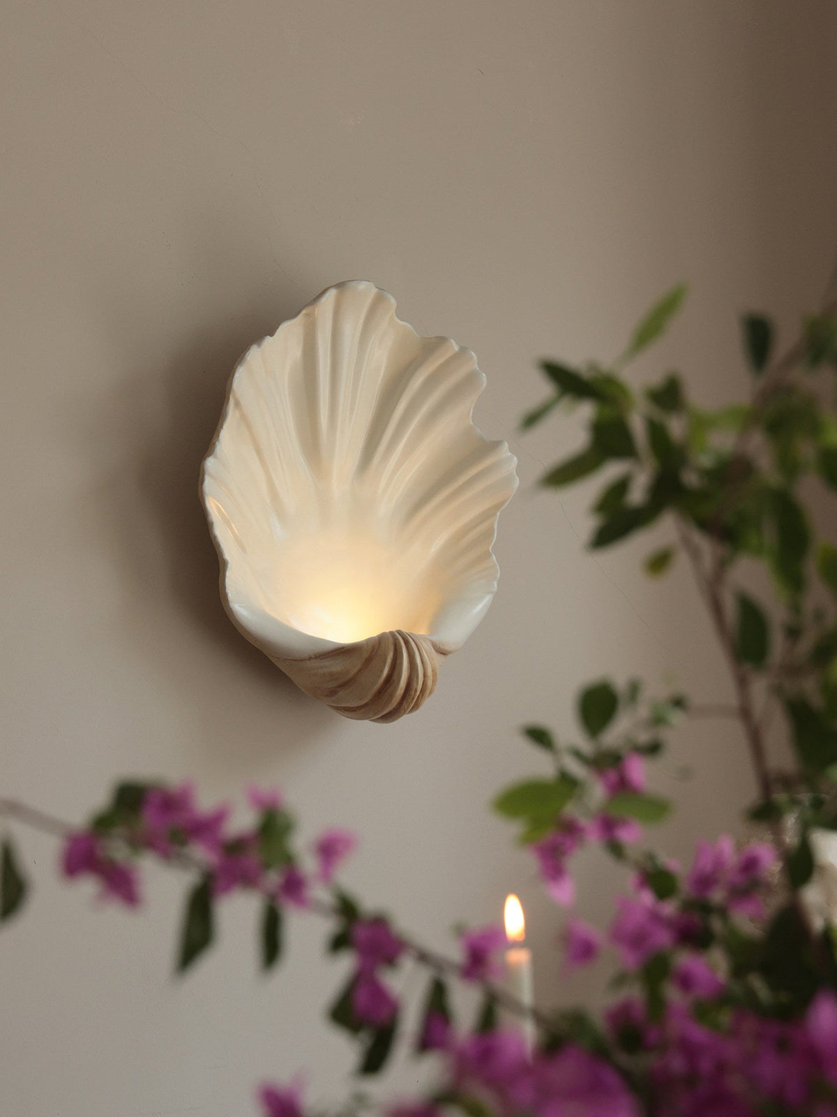 Shell Wall Sconce